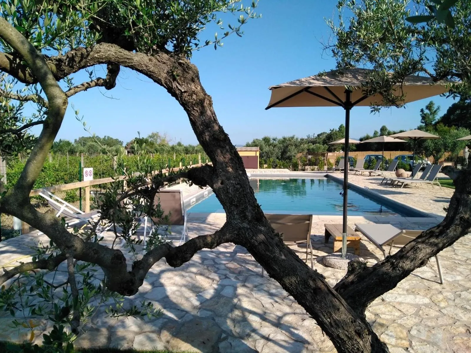 Swimming pool in Agriturismo Sweet Cottage
