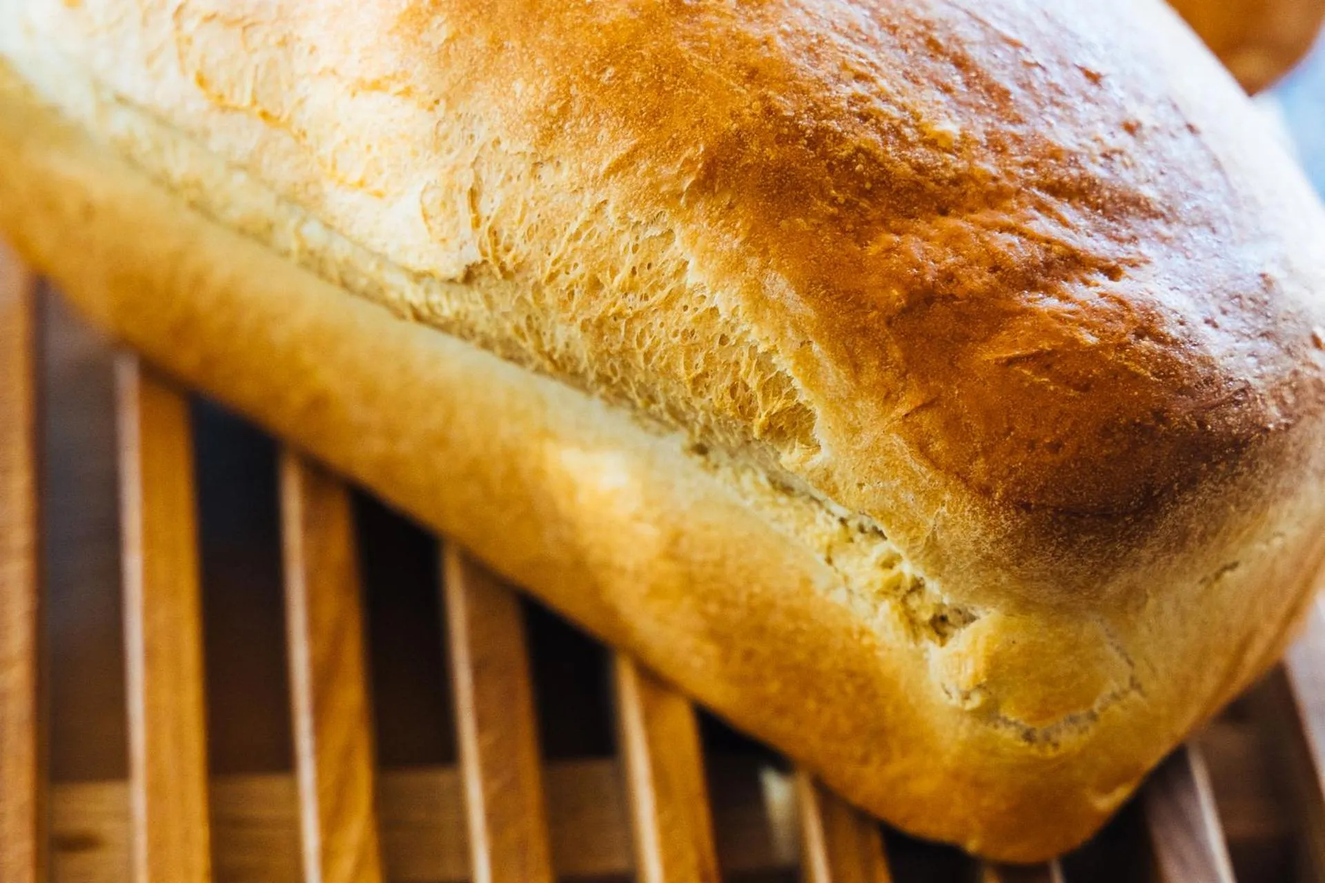 Food in Agriturismo Sweet Cottage