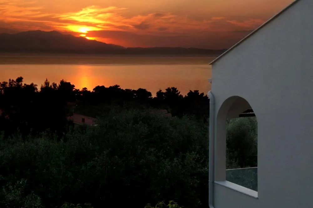 Other in Louloudis Fresh-Adults Only