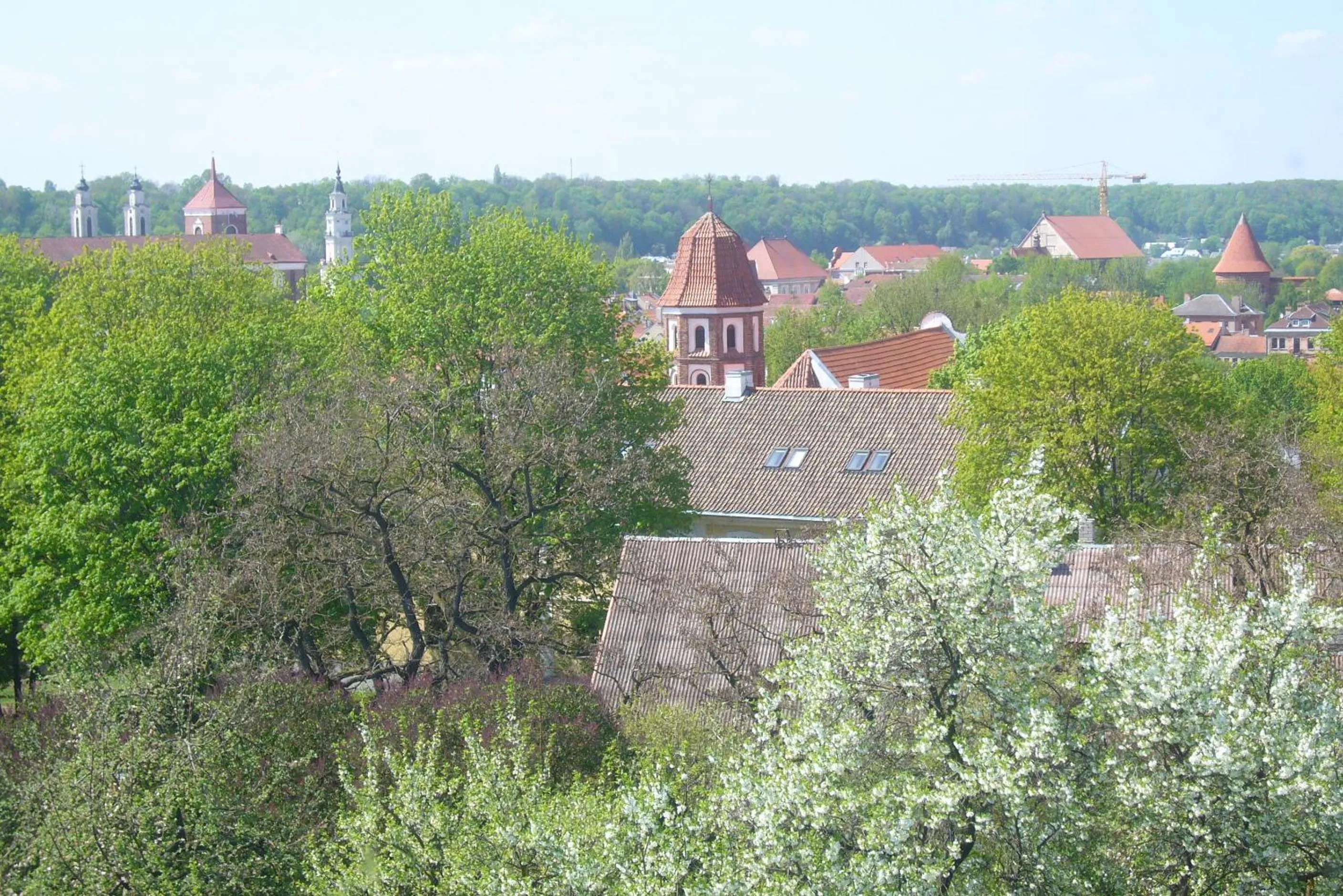 View (from property/room) in Family