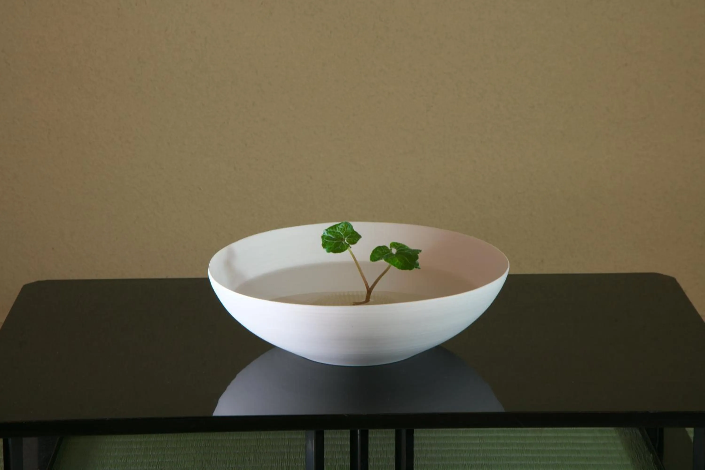 Arima Onsen Takayamaso Hanano