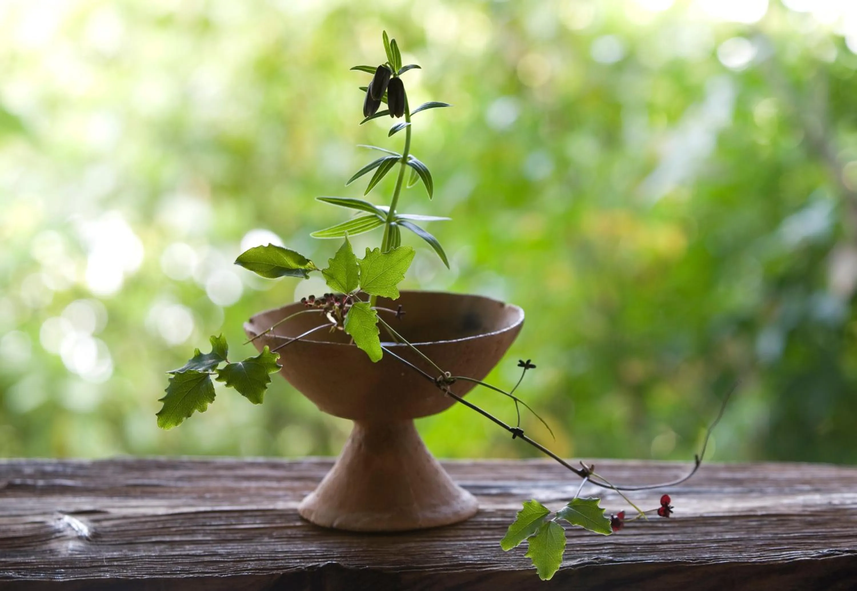 Arima Onsen Takayamaso Hanano