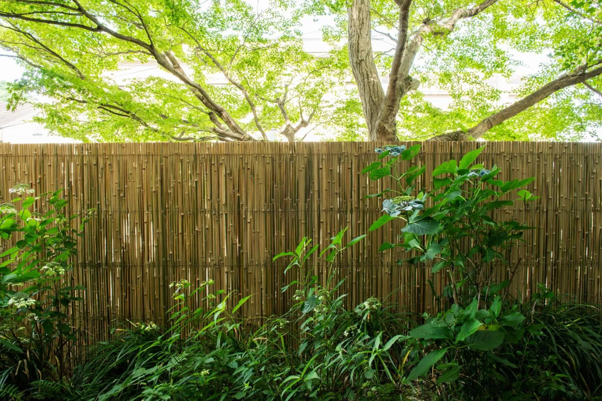 Arima Onsen Takayamaso Hanano