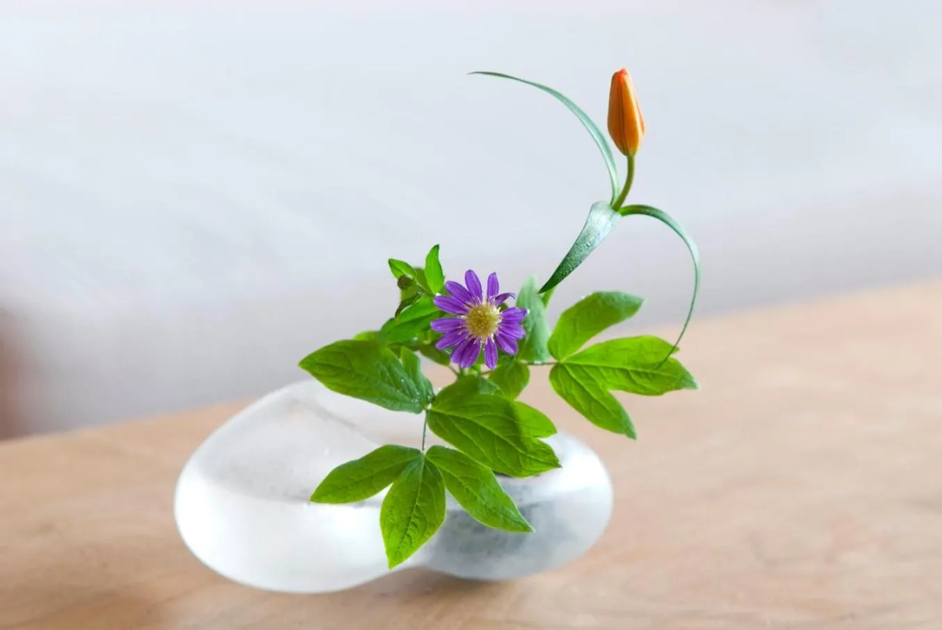 Arima Onsen Takayamaso Hanano