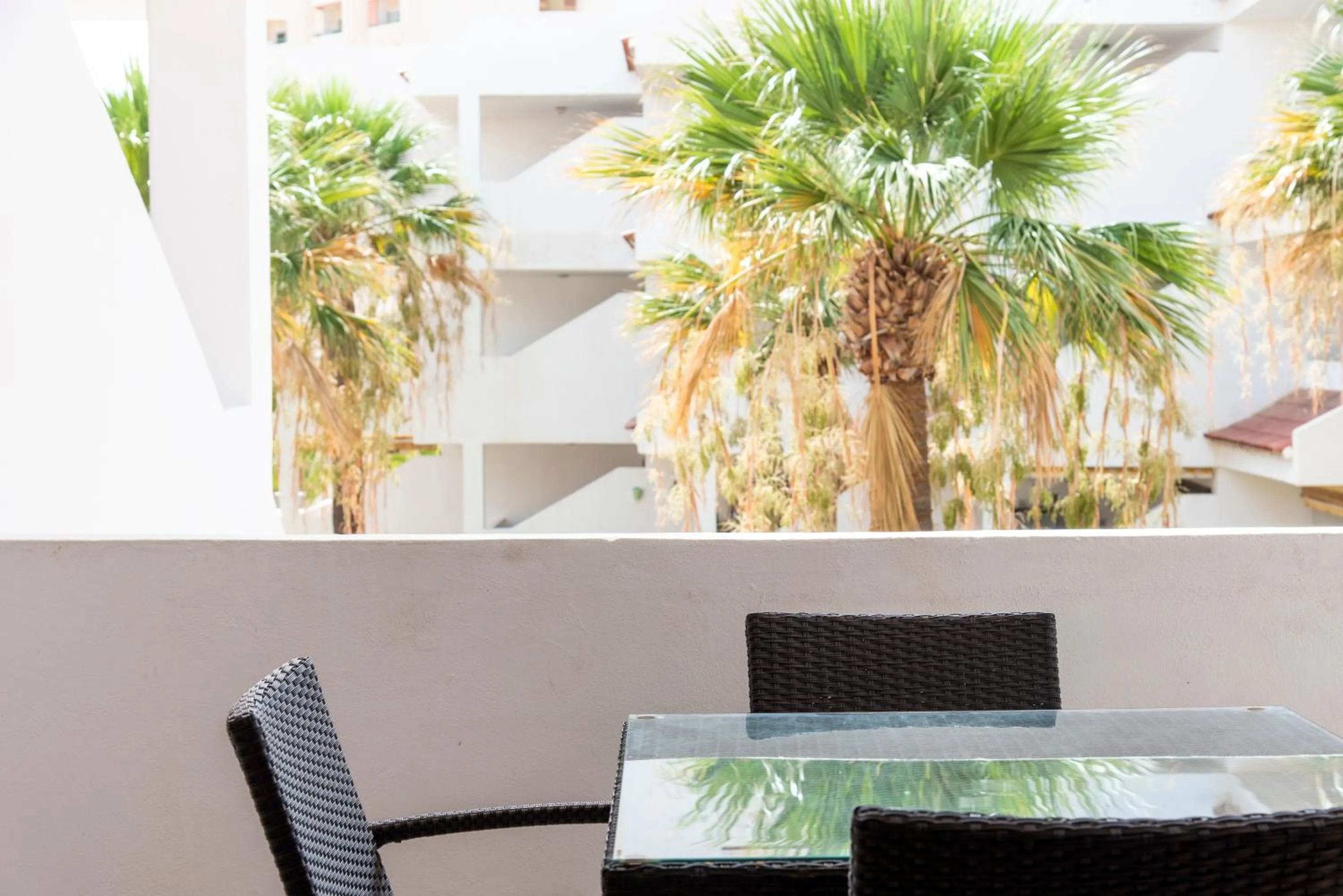 Balcony/Terrace in Paloma Beach Apartments
