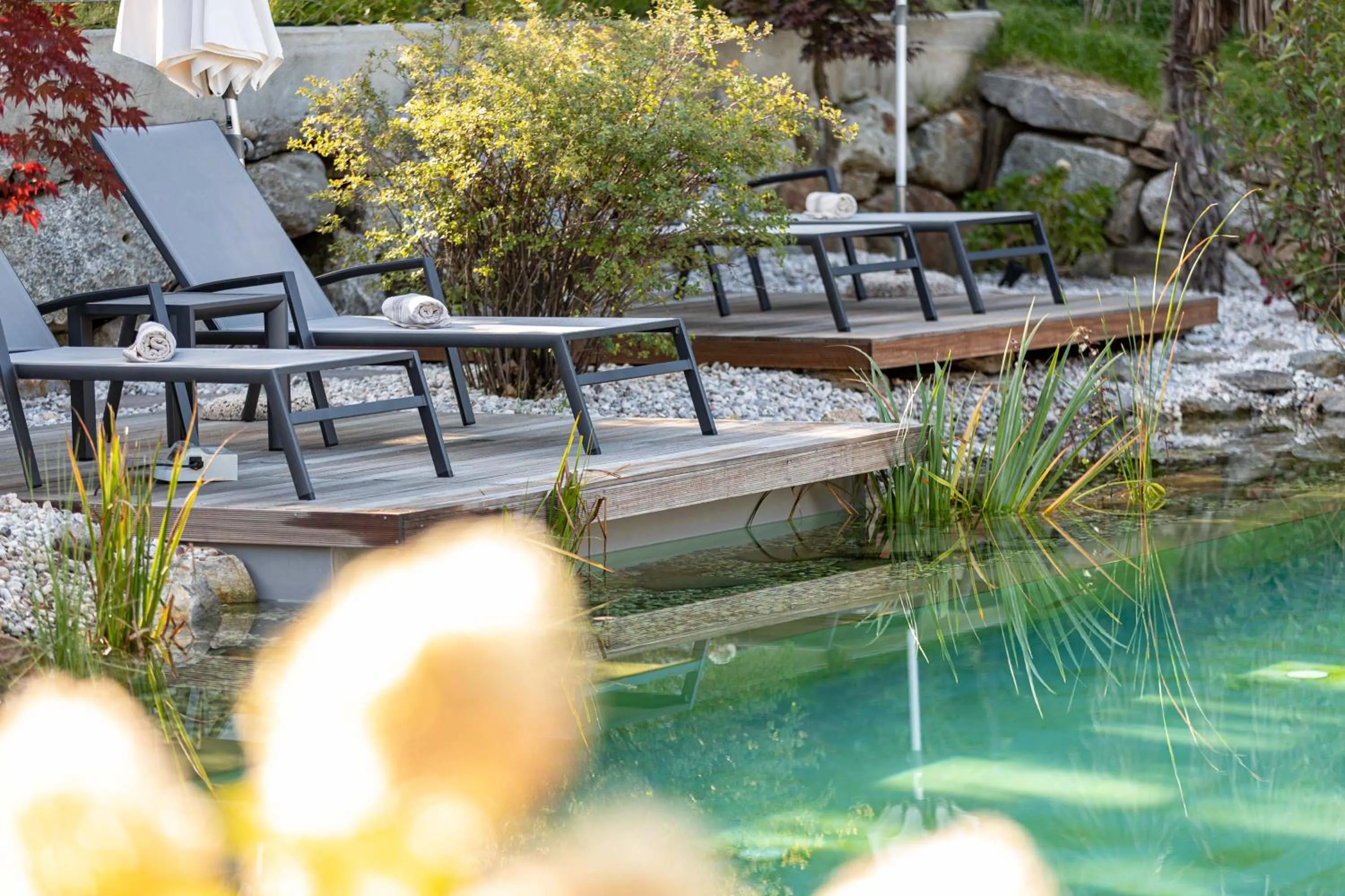 Swimming pool in Hotel Finkenhof - Feel at home