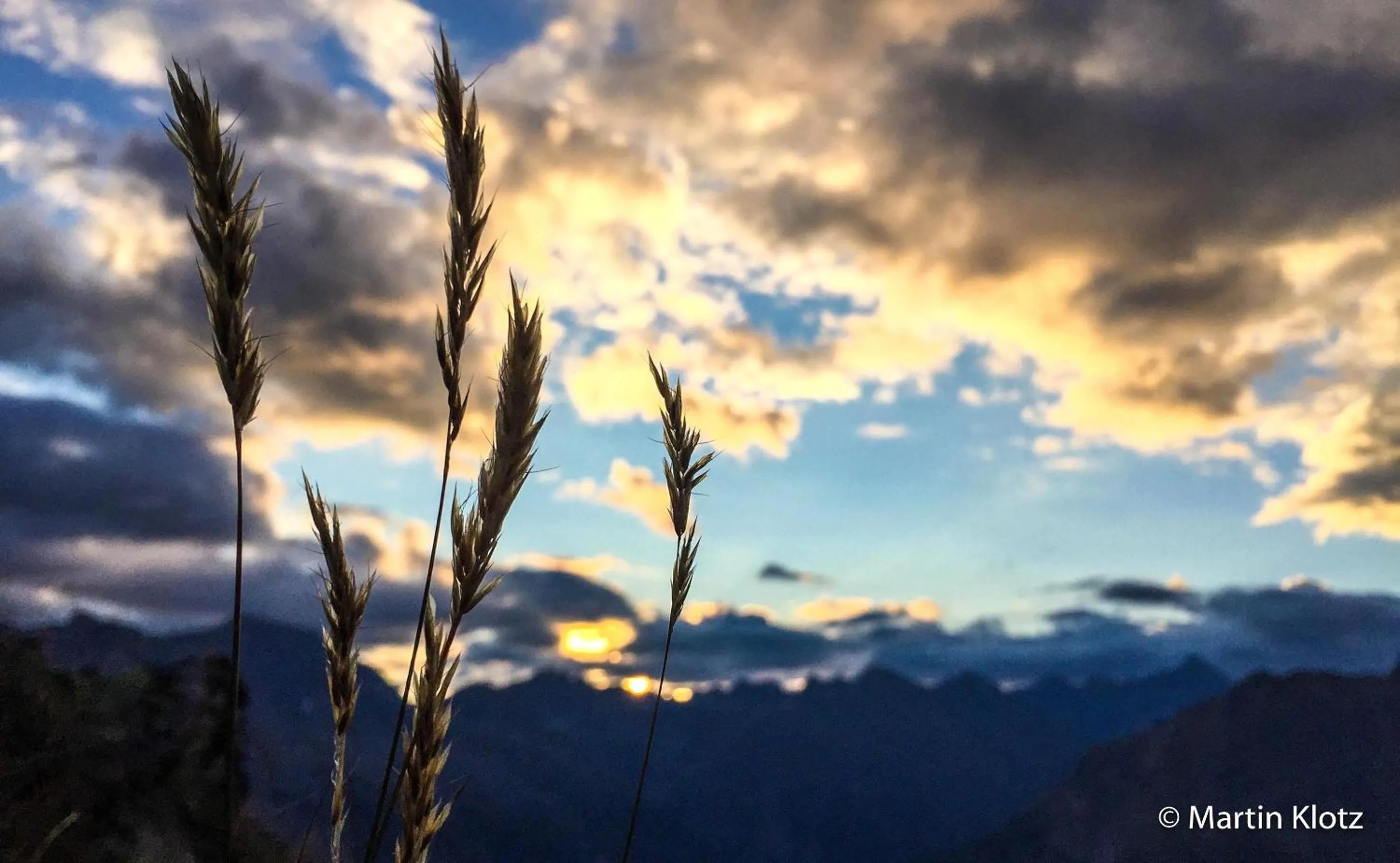 Natural landscape in Apart Hotel Arno