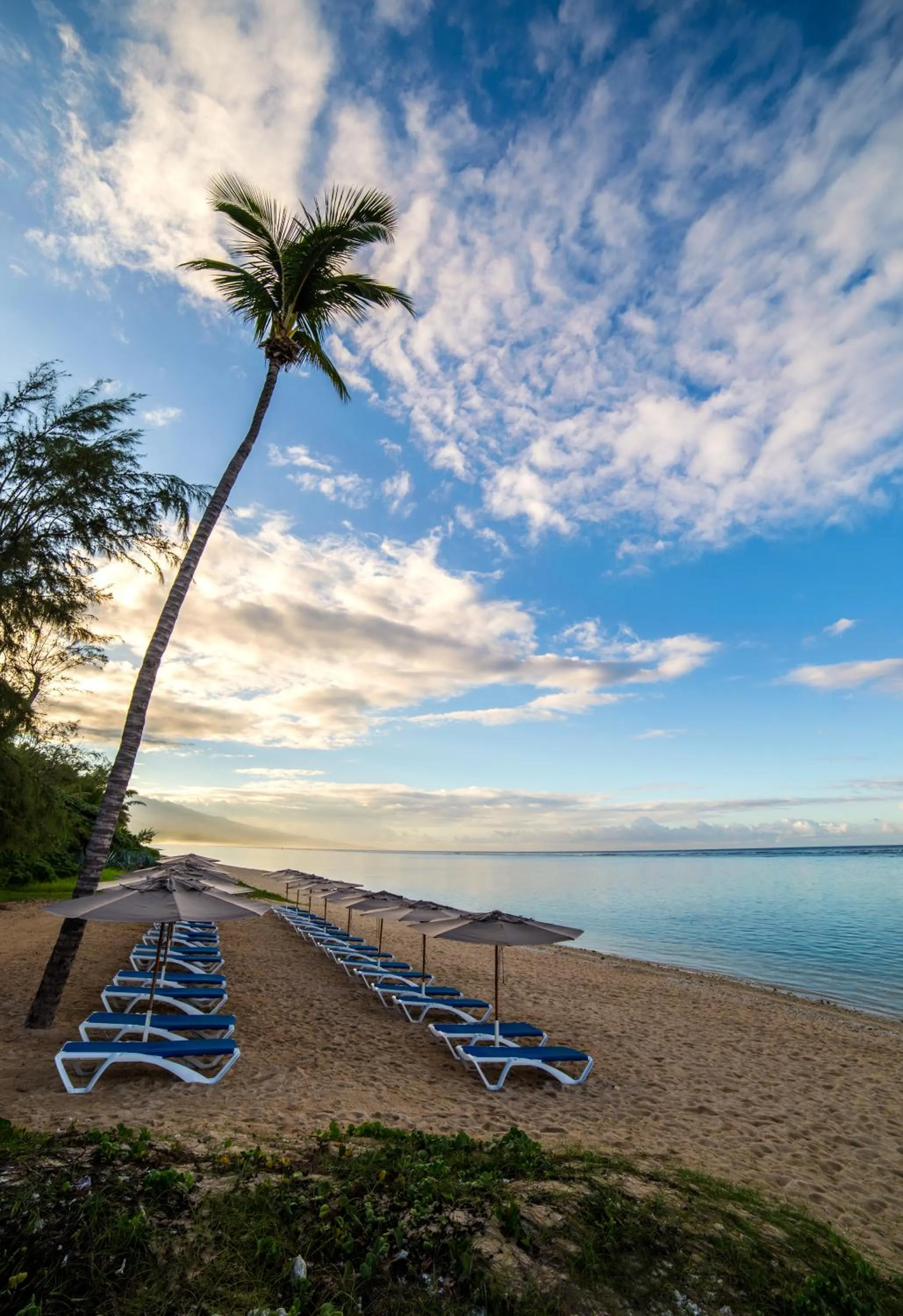 Beach in Le Nautile Beachfront