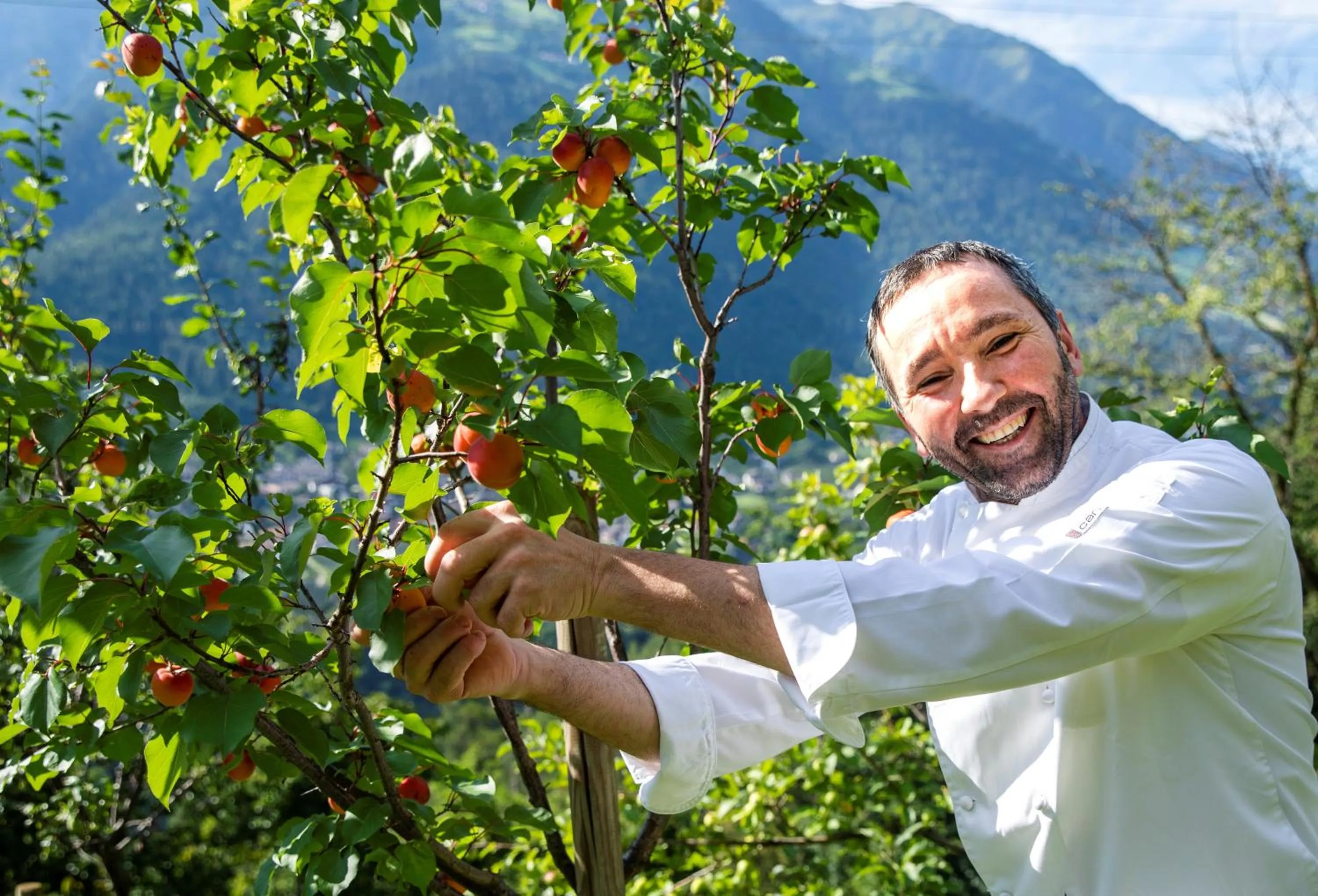 Natural landscape in Hotel Finkennest - Panoramic Garden Resort