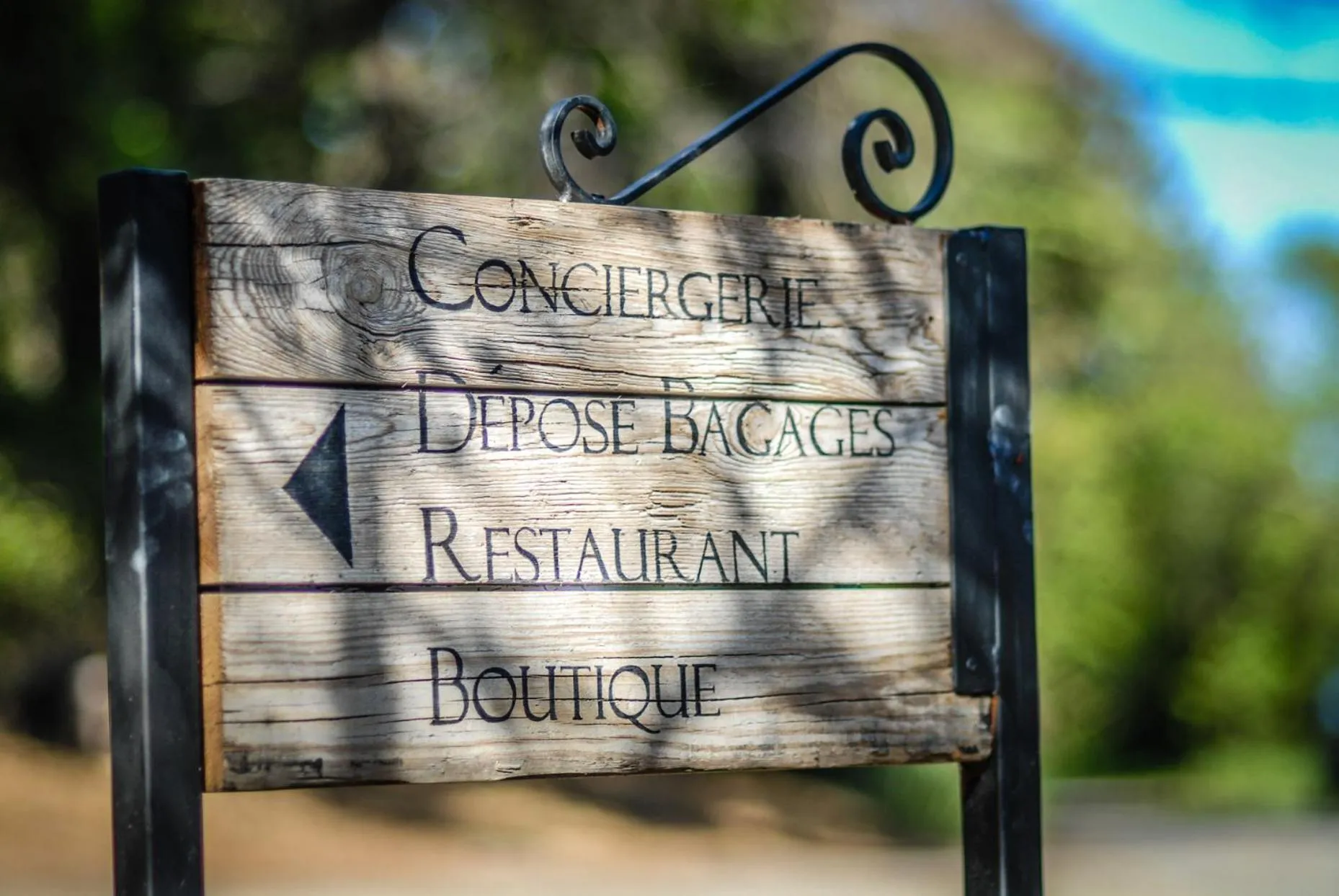 Area and facilities in Château Les Carrasses