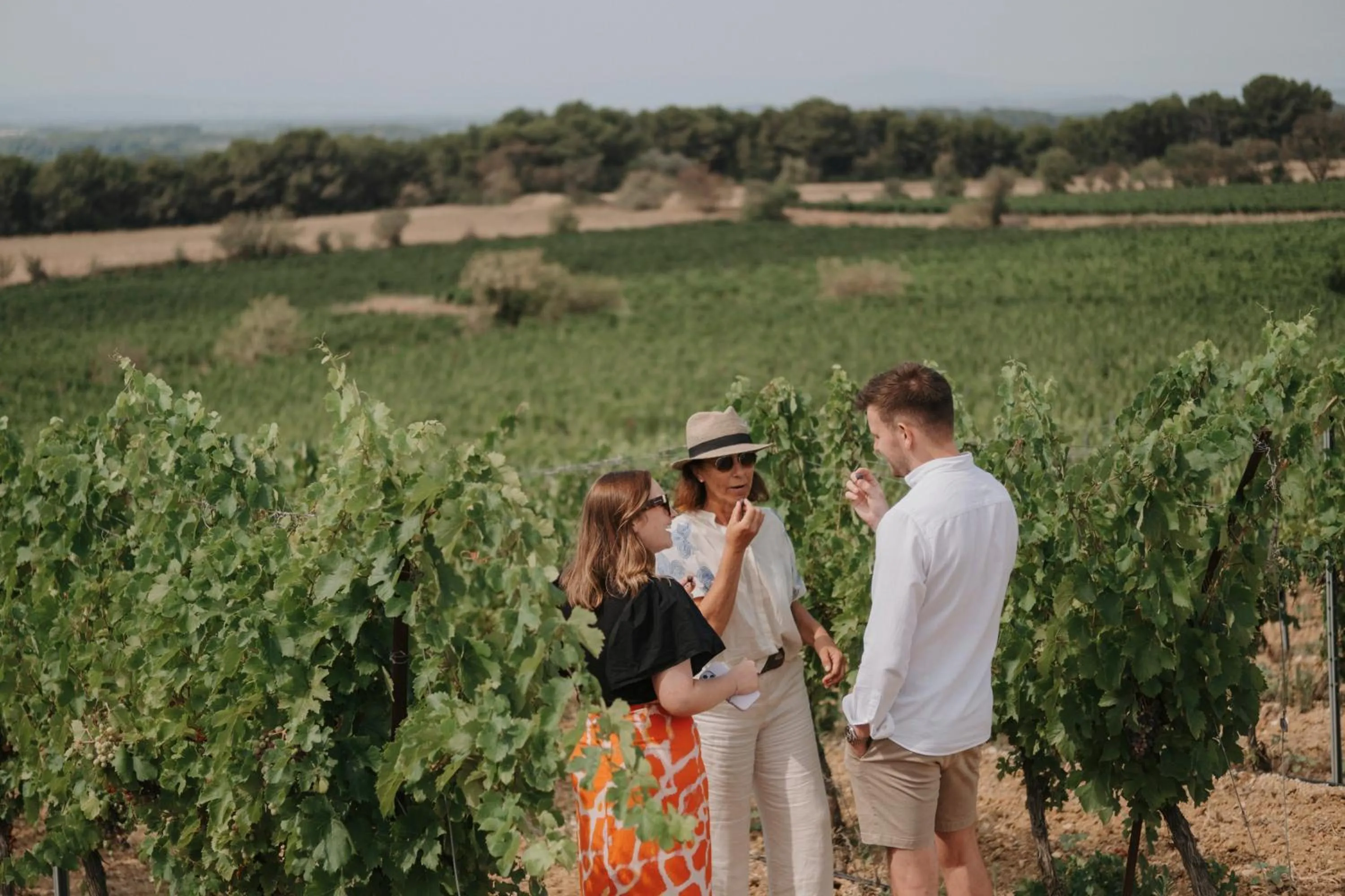 Activities in Château Les Carrasses