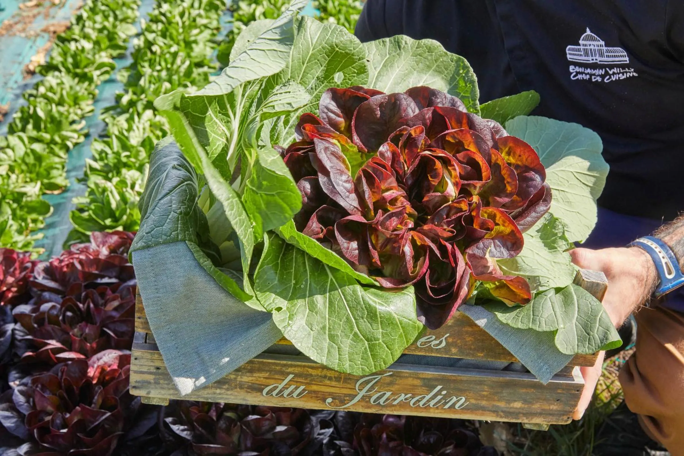 Restaurant/places to eat in Château Les Carrasses