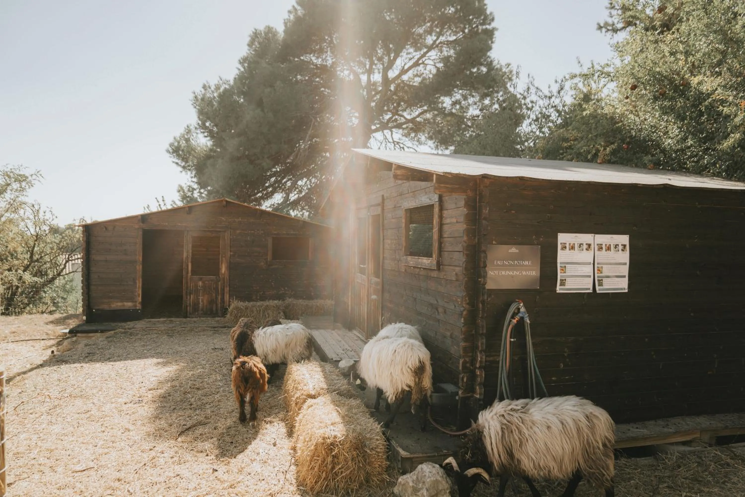 Activities in Château Les Carrasses