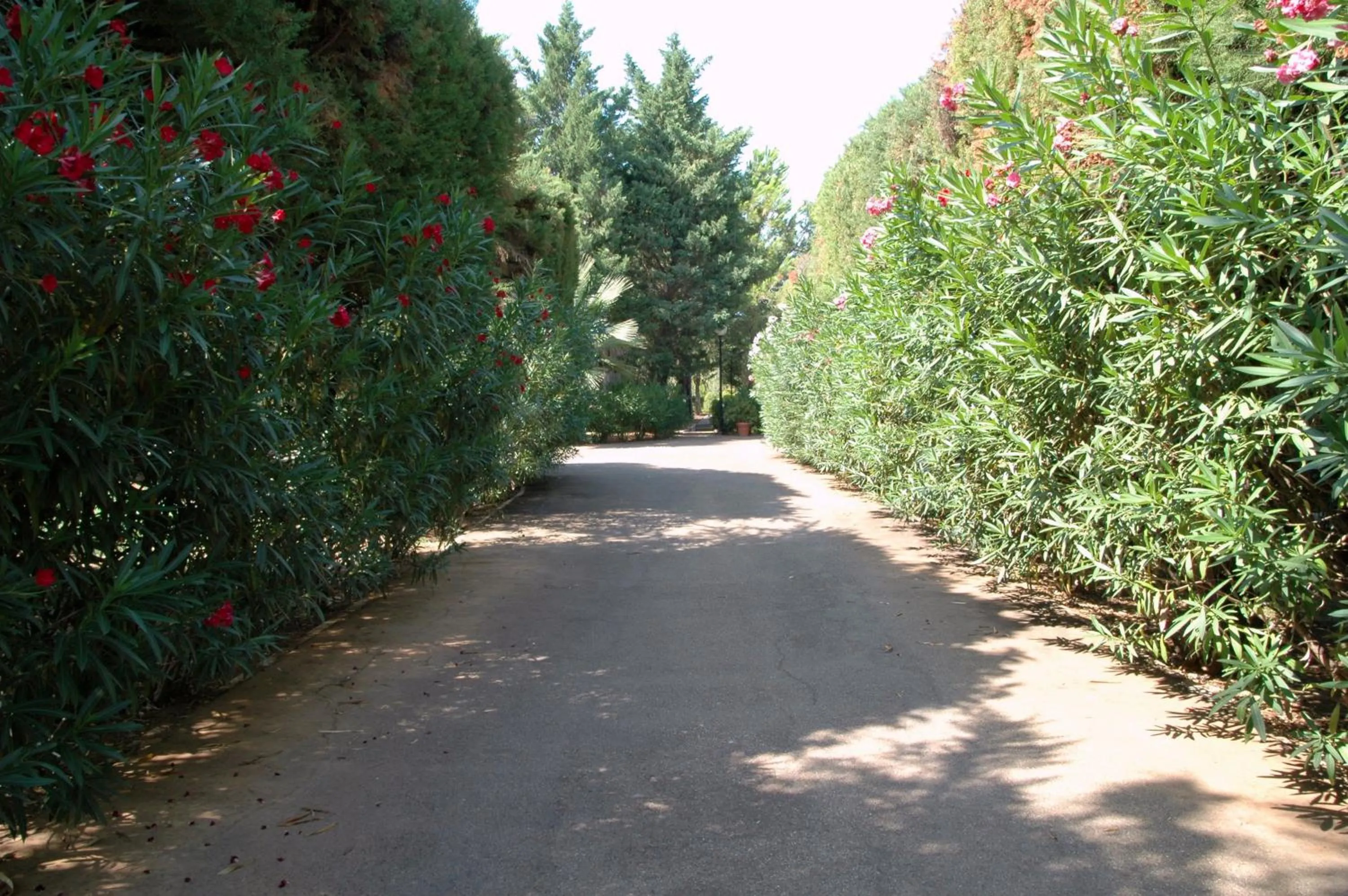 Facade/entrance in Residence Villa Agrimare