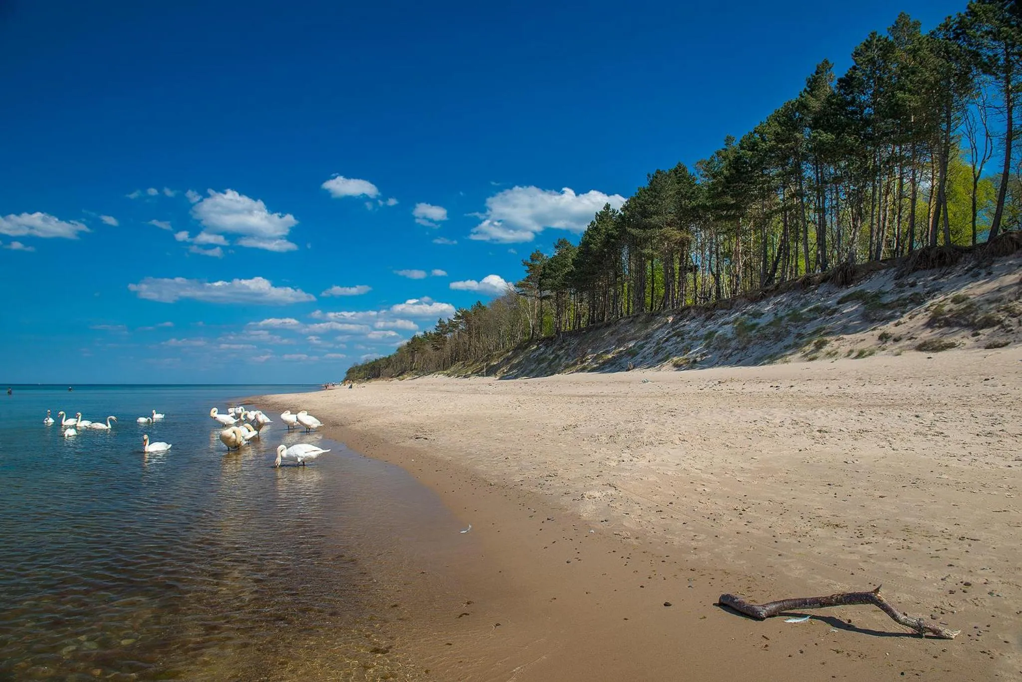 Beach in Dworek Morski SPA & Wellness