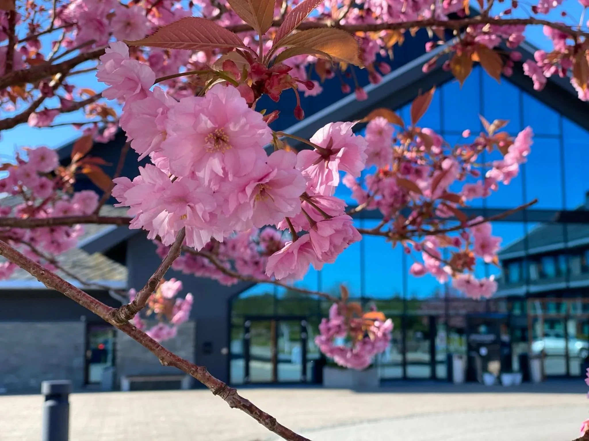 Facade/entrance in Panorama Hotell & Resort