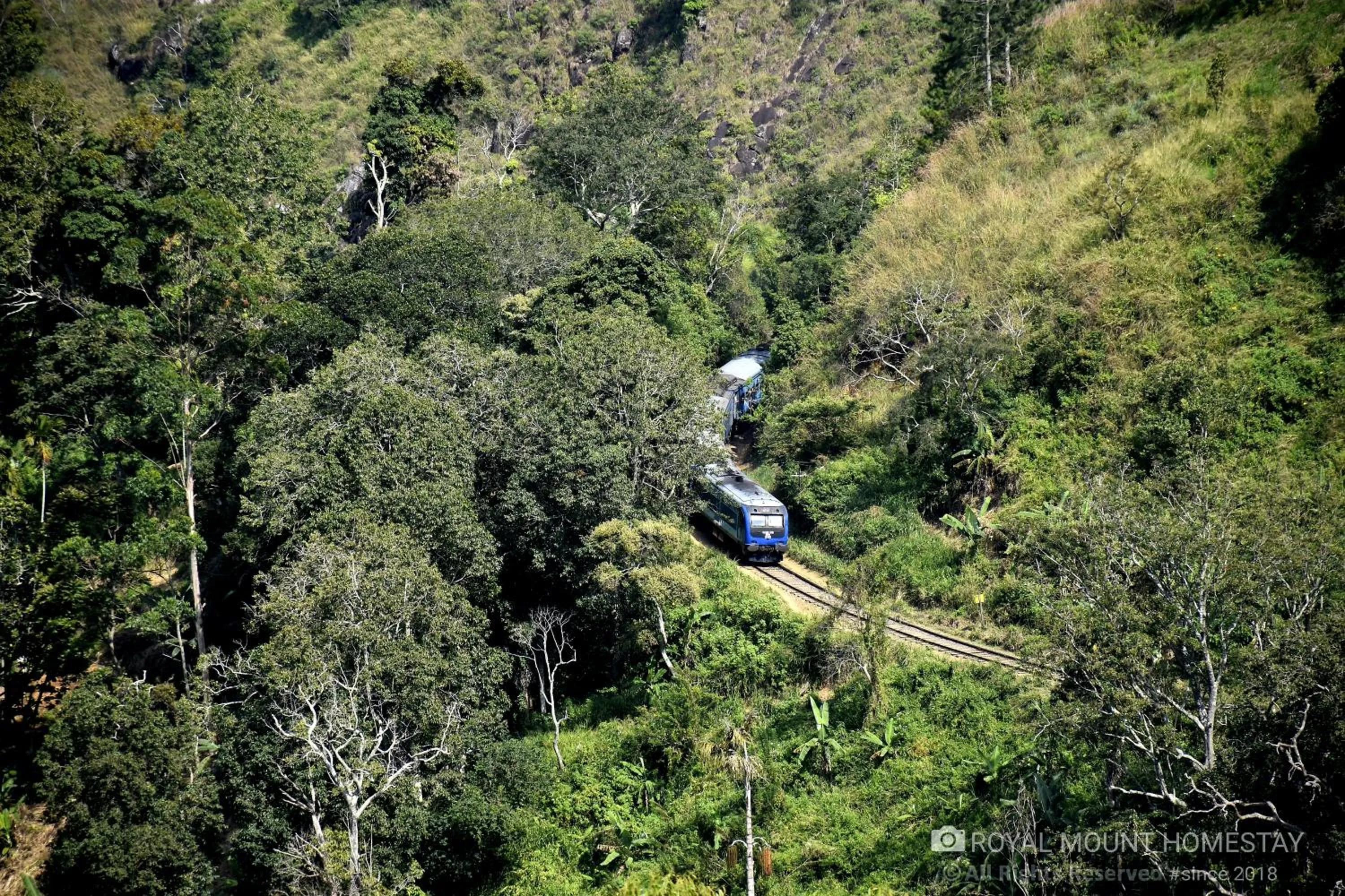Natural landscape in Royal Mount Ella