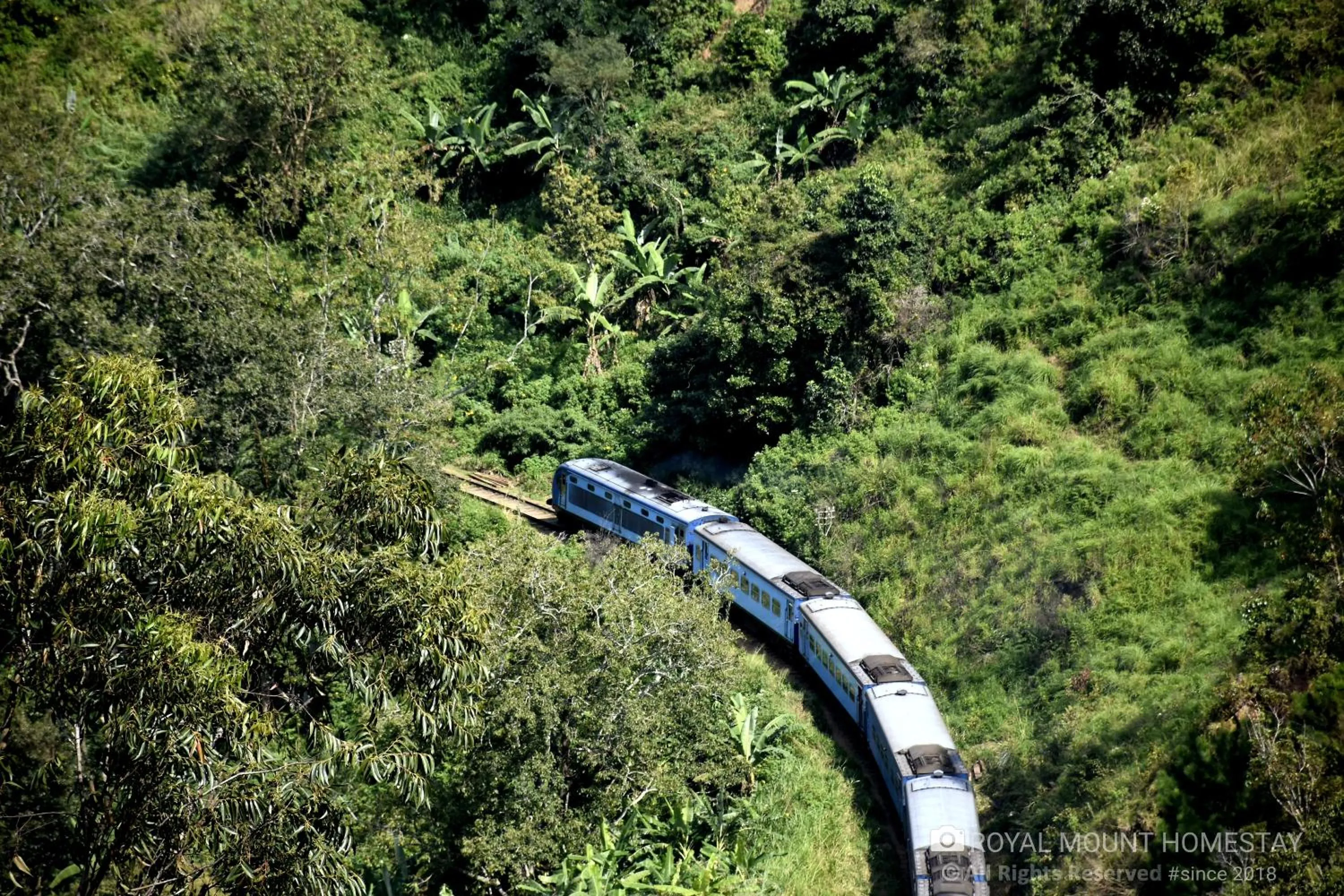 View (from property/room) in Royal Mount Ella