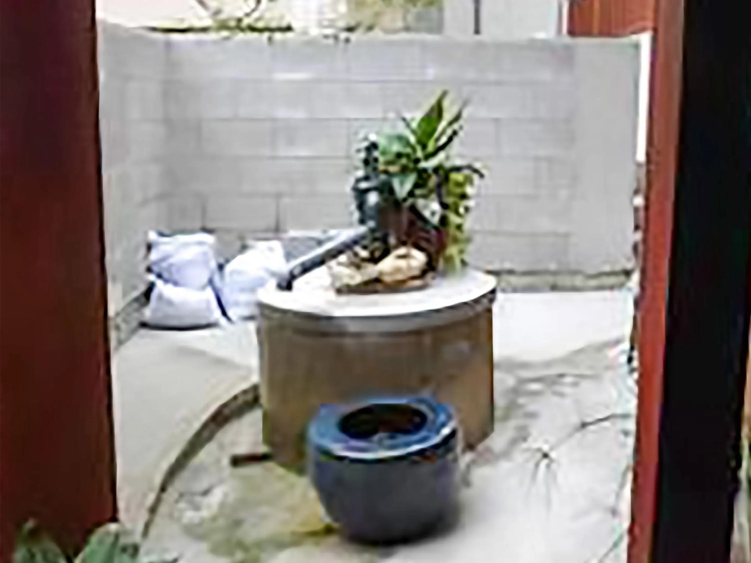 On site in 国際通りと牧志駅まで徒歩5分 庭付き素敵な古民家 わらゆんSO 松武の古民家Traditional house