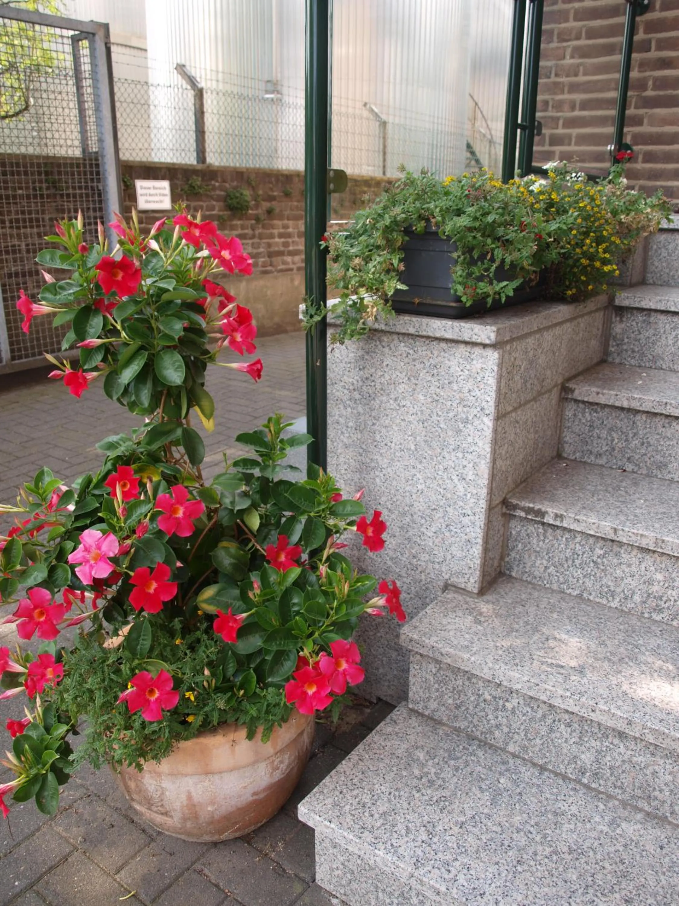 Facade/entrance in Hotel Societät