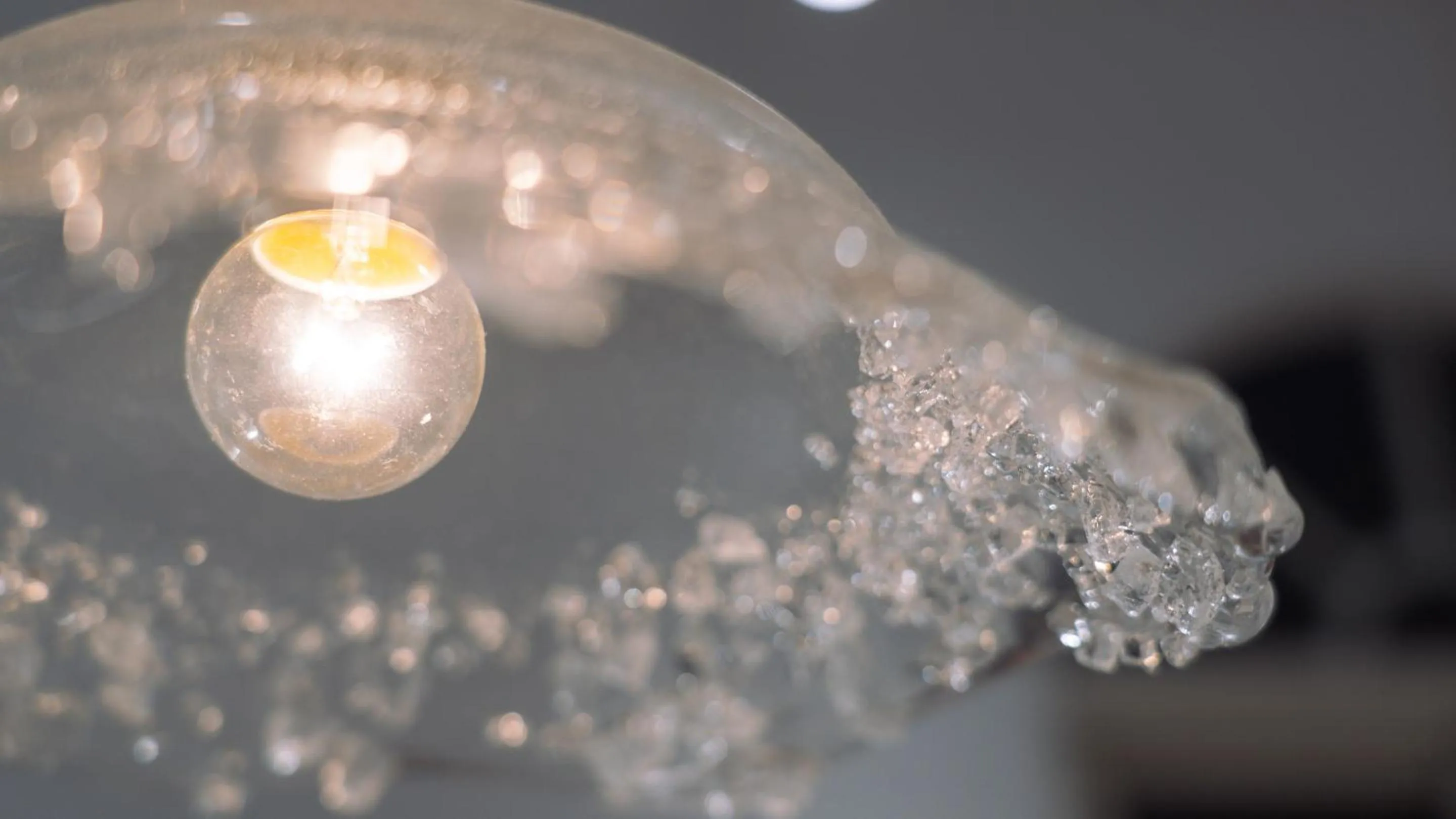 Decorative detail in OwlStay The Salt