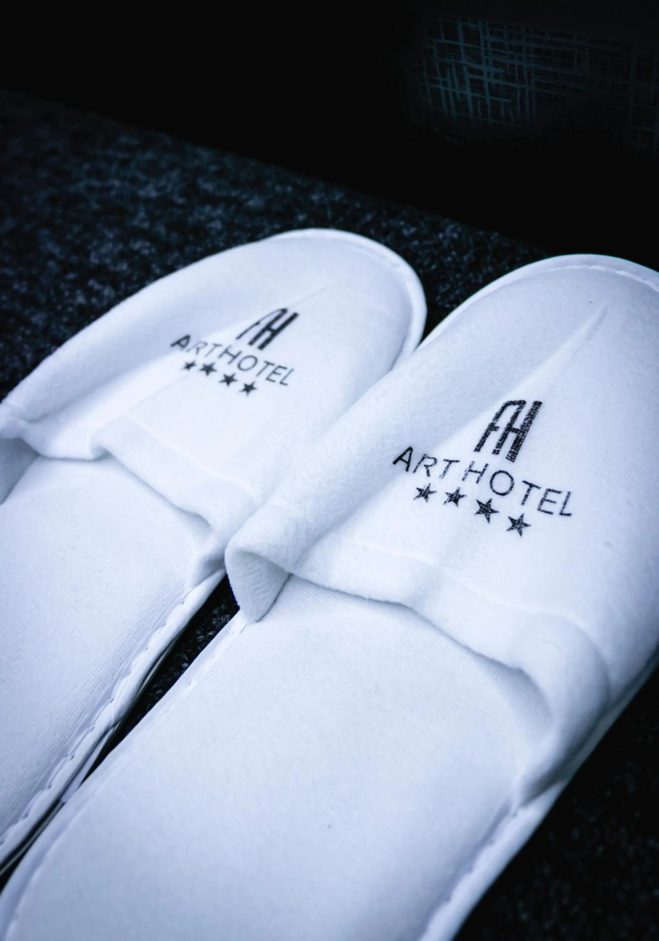 Text overlay in Art Hotel Bishkek