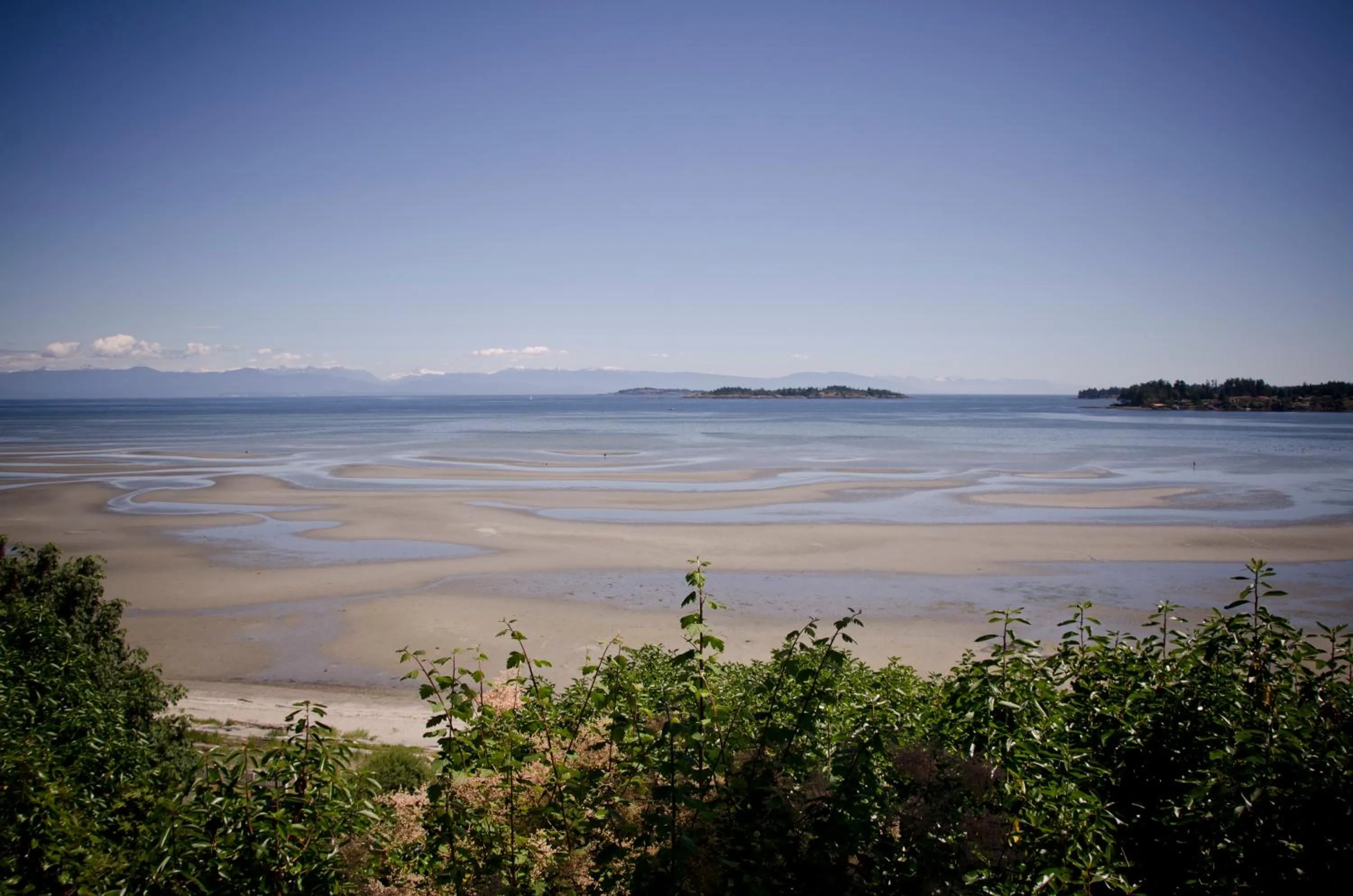 View (from property/room) in Ocean Trails Resort