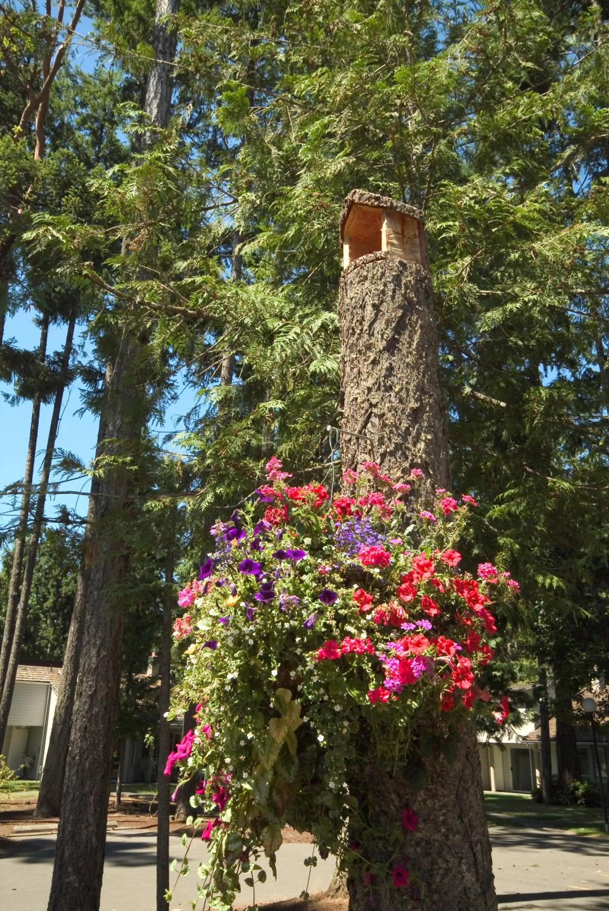 Garden in Ocean Trails Resort