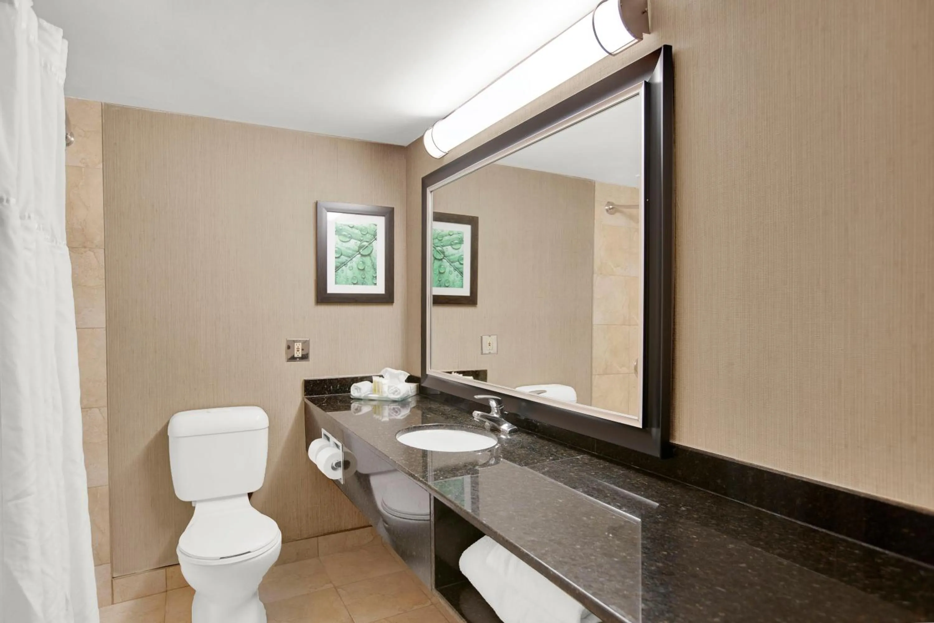 Toilet in Superior Inn Hotel and Conference Centre Thunder Bay