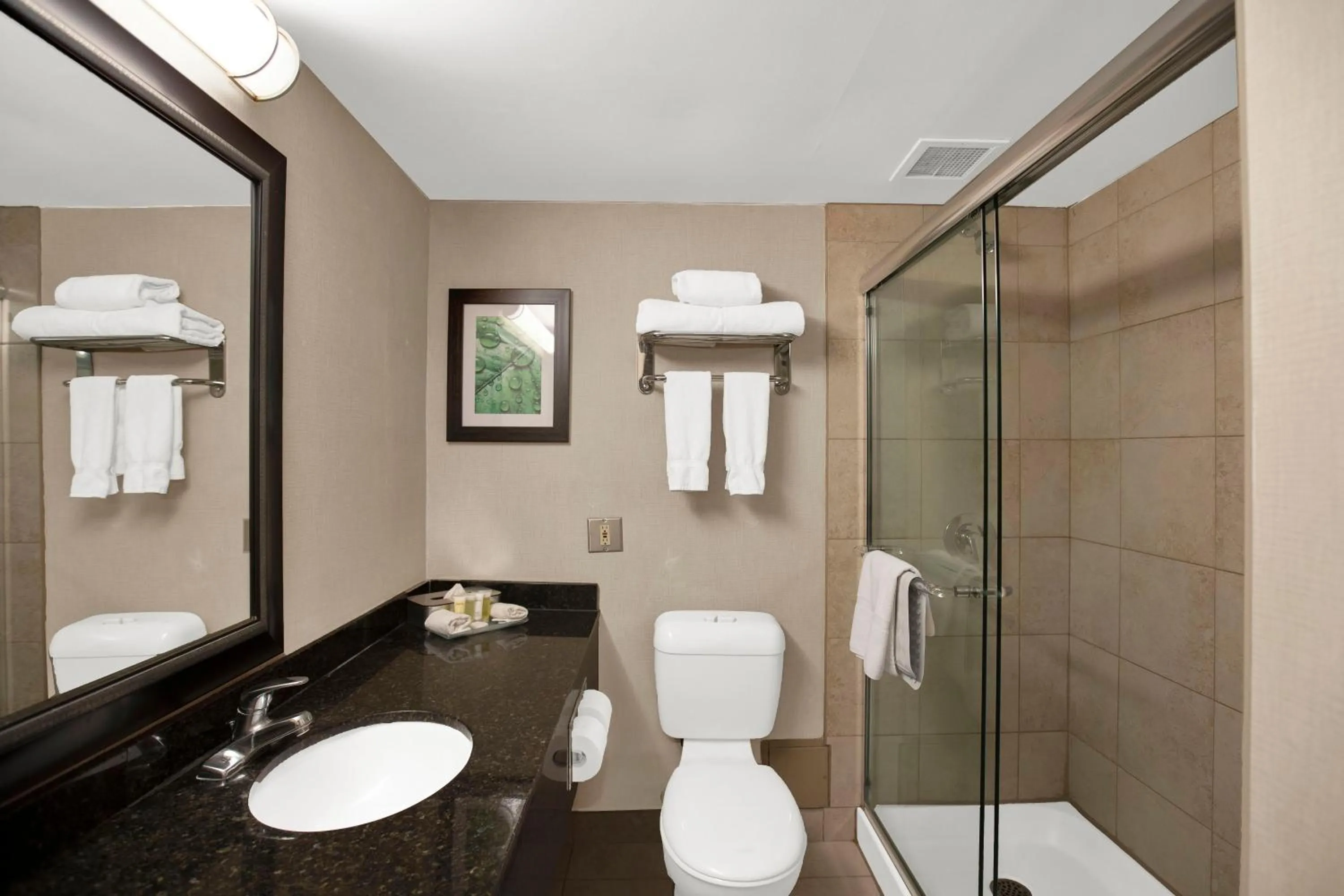 Shower in Superior Inn Hotel and Conference Centre Thunder Bay