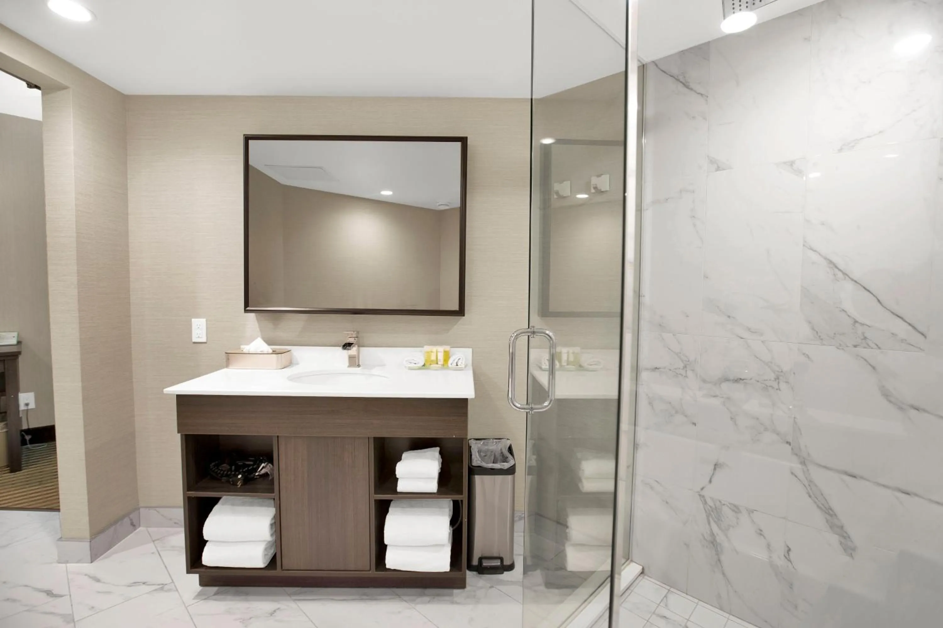 Shower in Superior Inn Hotel and Conference Centre Thunder Bay