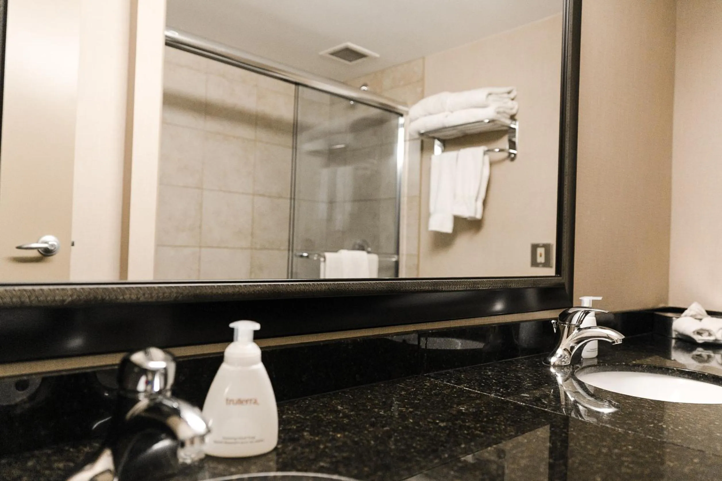 Toilet in Superior Inn Hotel and Conference Centre Thunder Bay