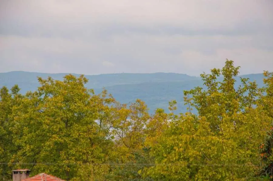 River view in Room Room Motel