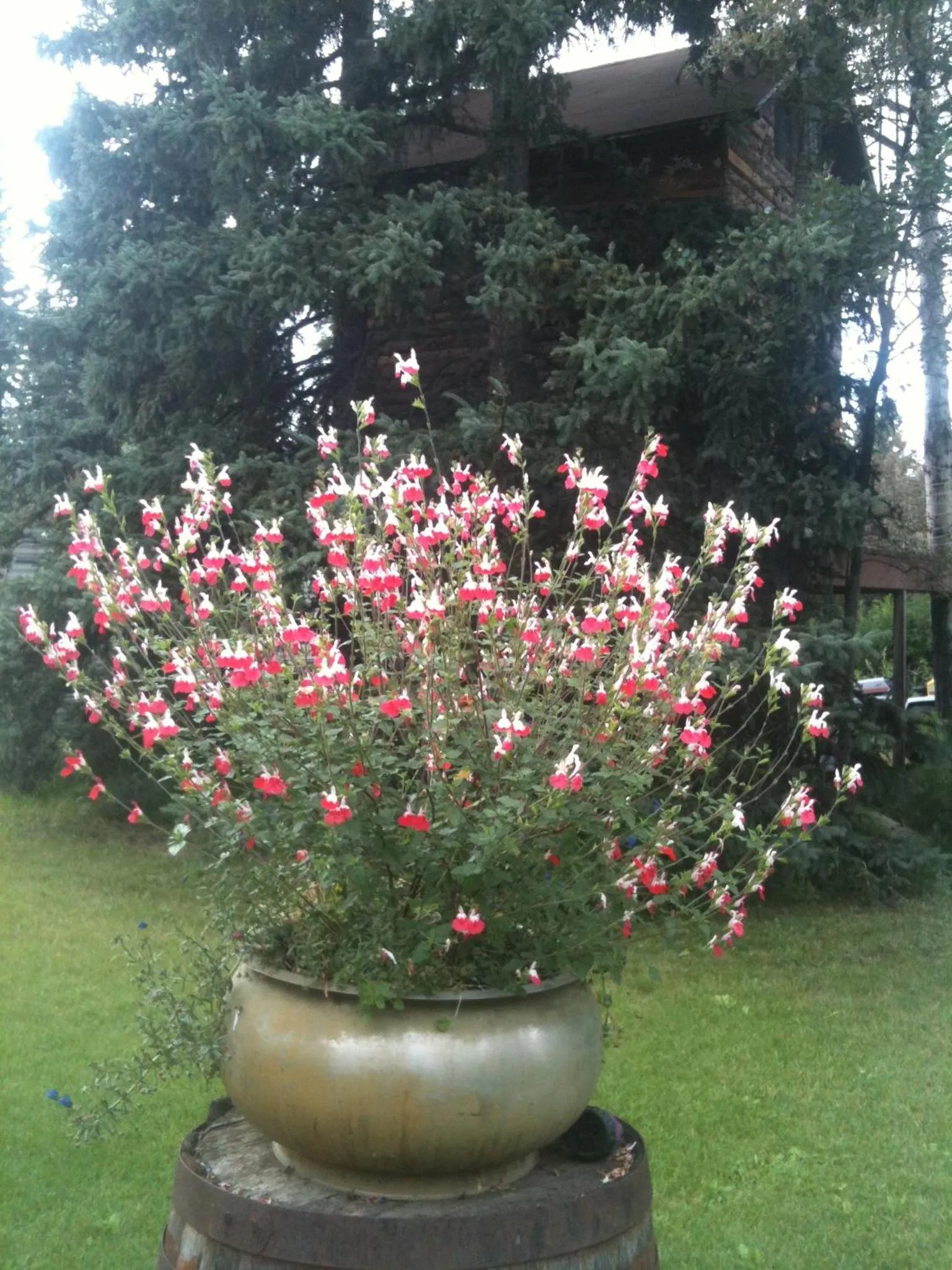 Area and facilities in Abbey Archway Inn