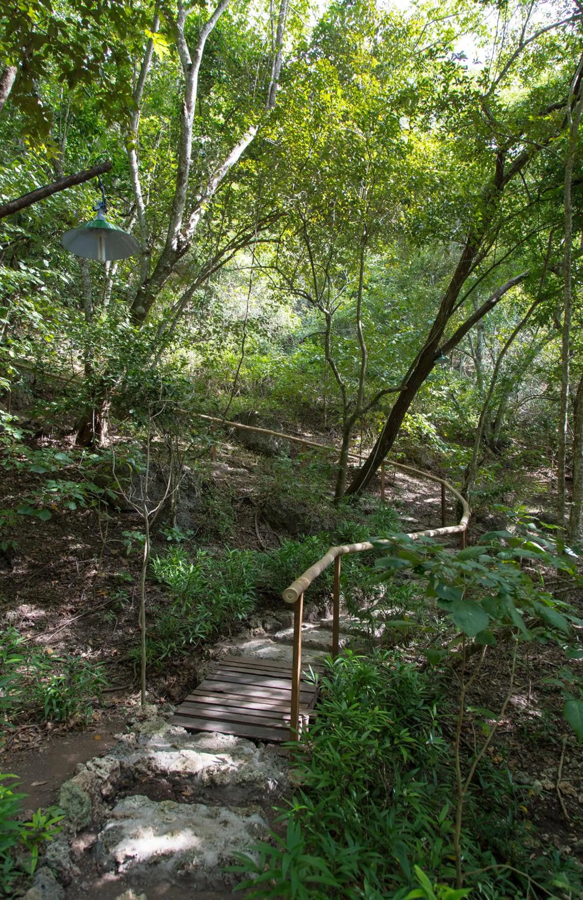 Neighbourhood in Menjangan Ecolodge - CHSE Certified