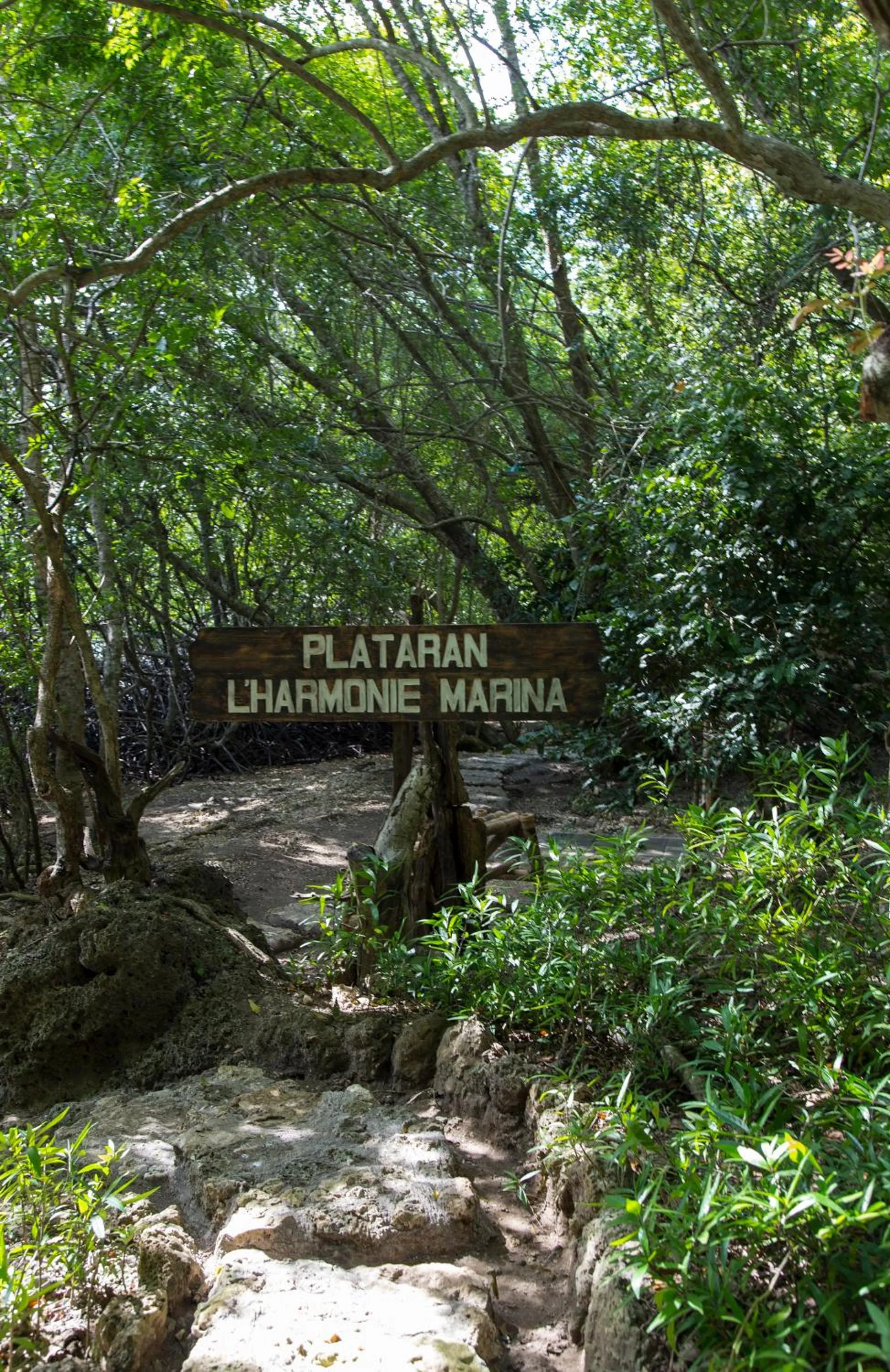 Neighbourhood in Menjangan Ecolodge - CHSE Certified