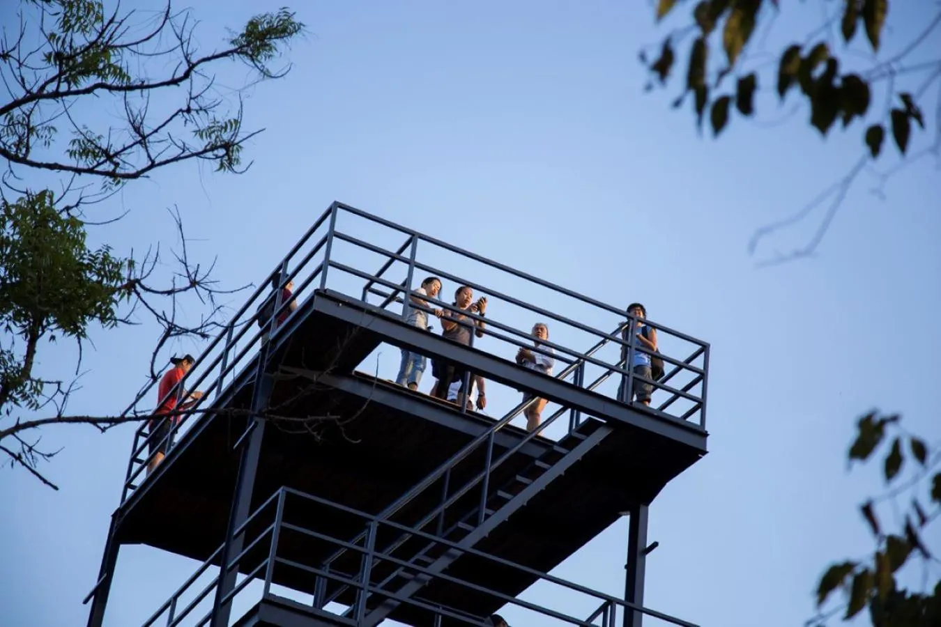 Activities in Menjangan Ecolodge - CHSE Certified