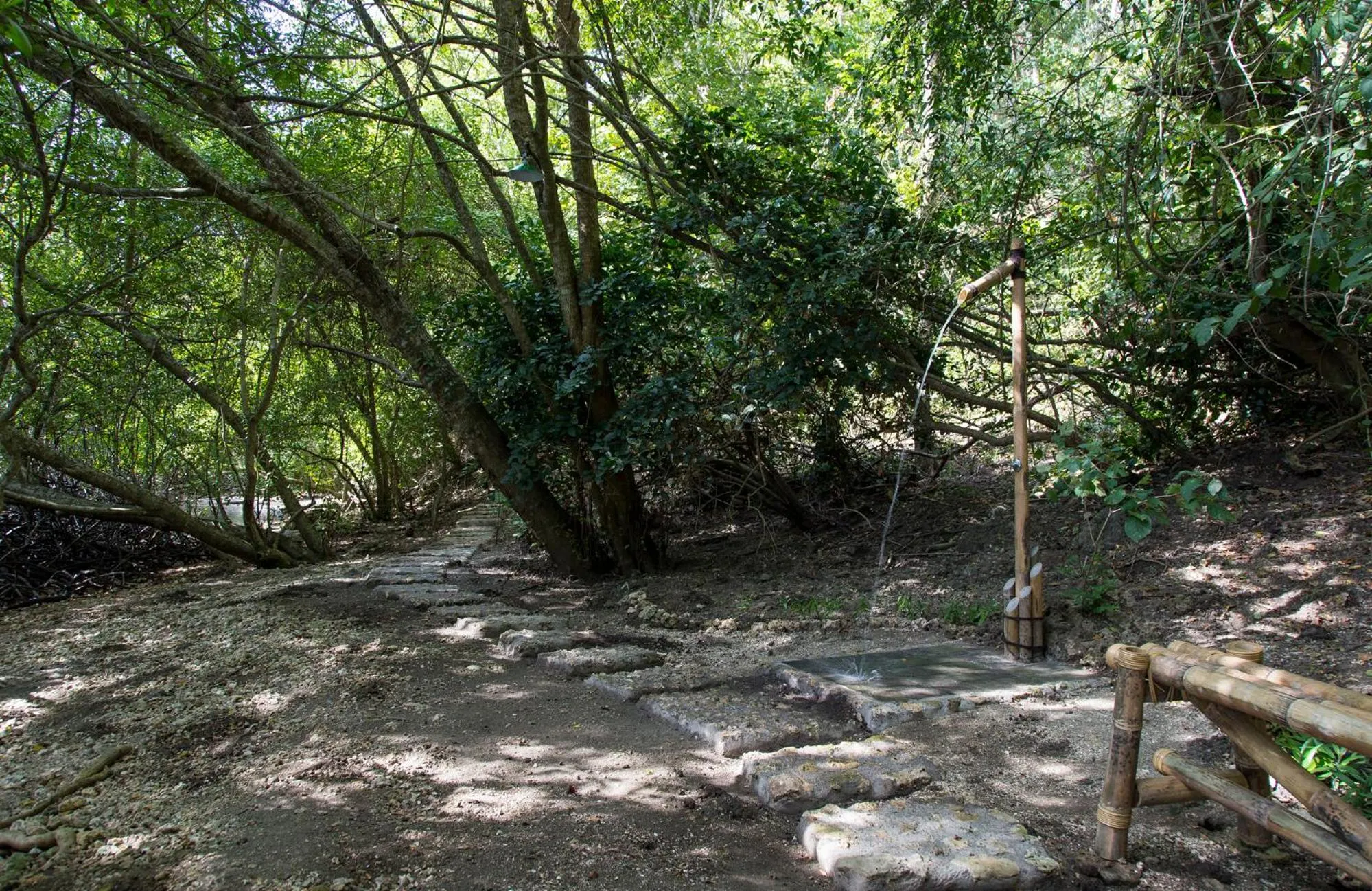 Neighbourhood in Menjangan Ecolodge - CHSE Certified