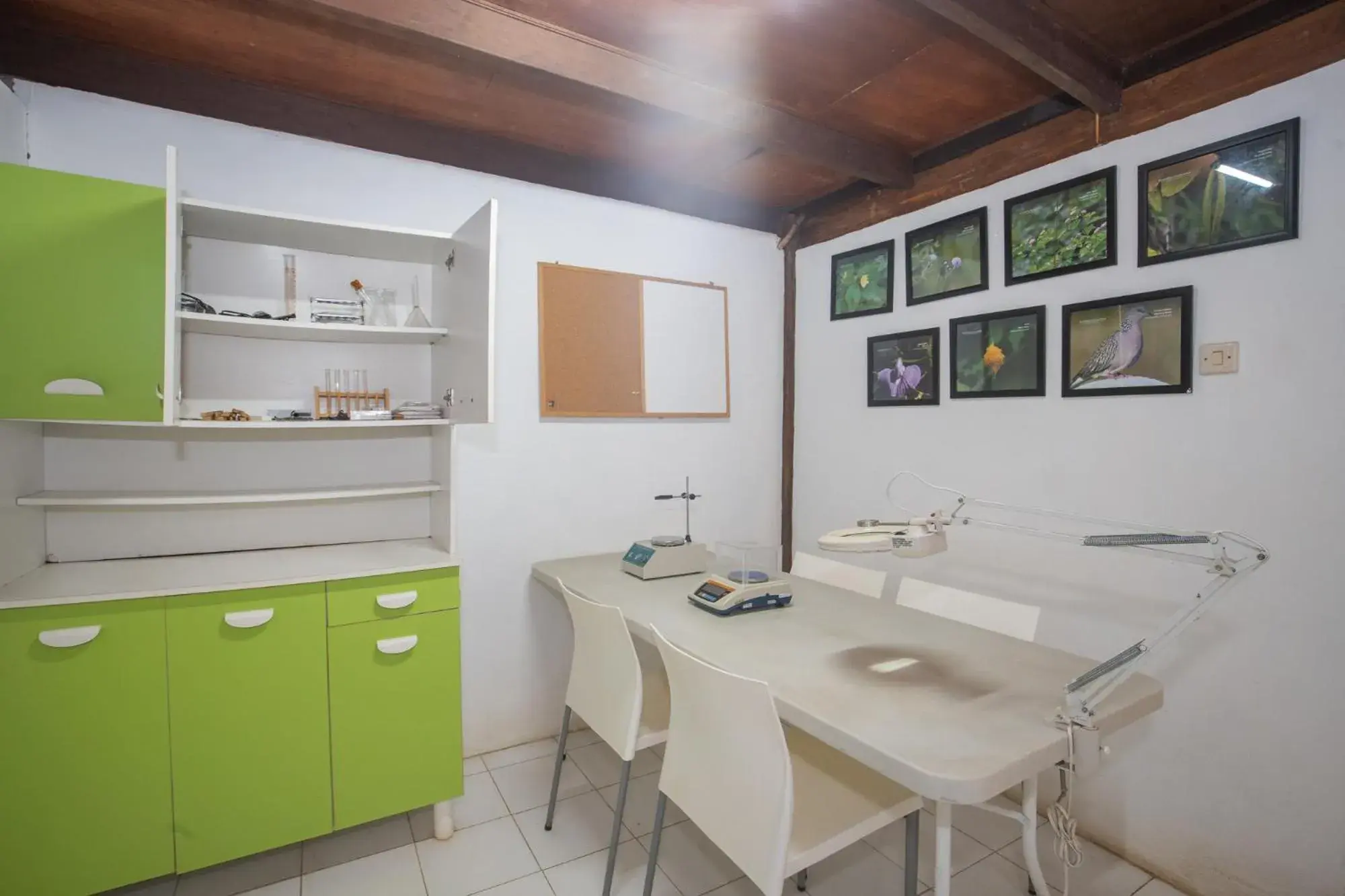 Property building in Menjangan Ecolodge - CHSE Certified Property building in Menjangan Ecolodge - CHSE Certified