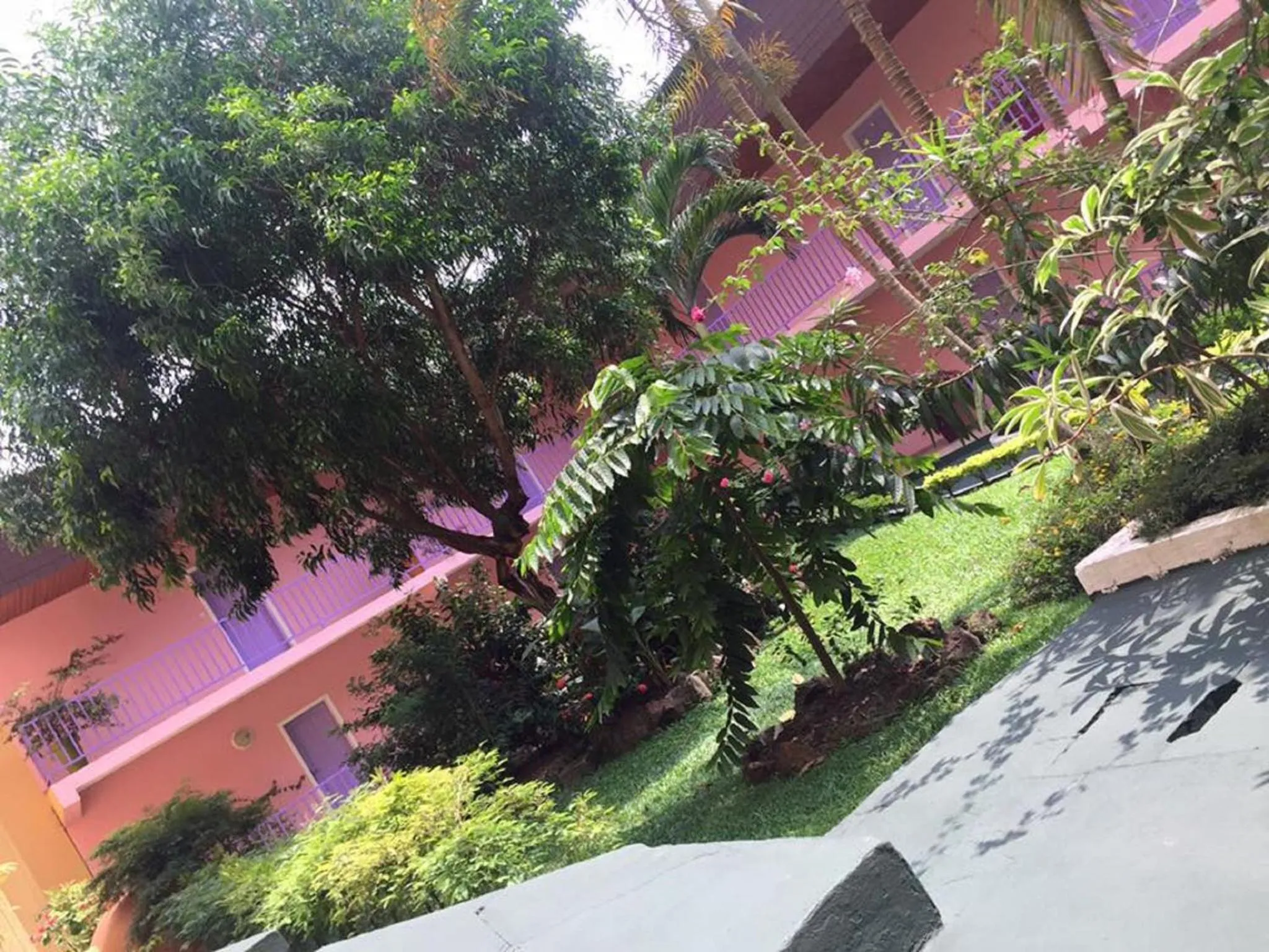 Garden in Hotel Adagio