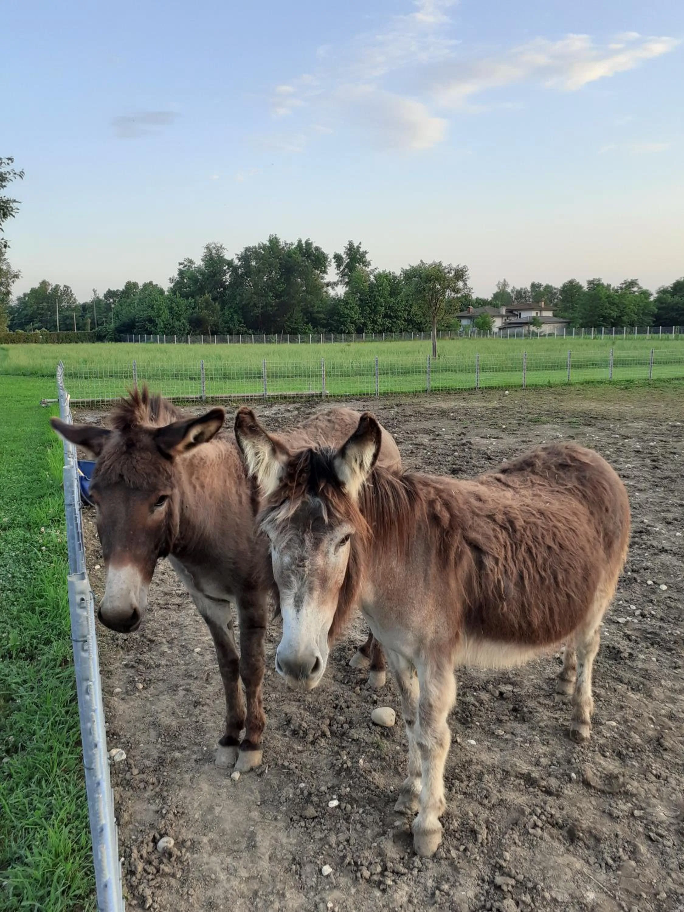 Azienda Agrituristica Ai Prai