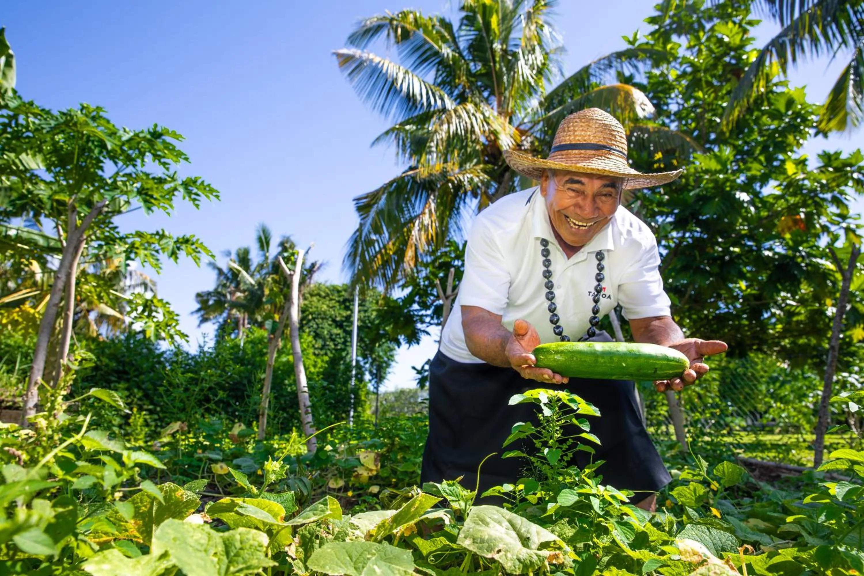 Garden in Tanoa Tusitala Hotel