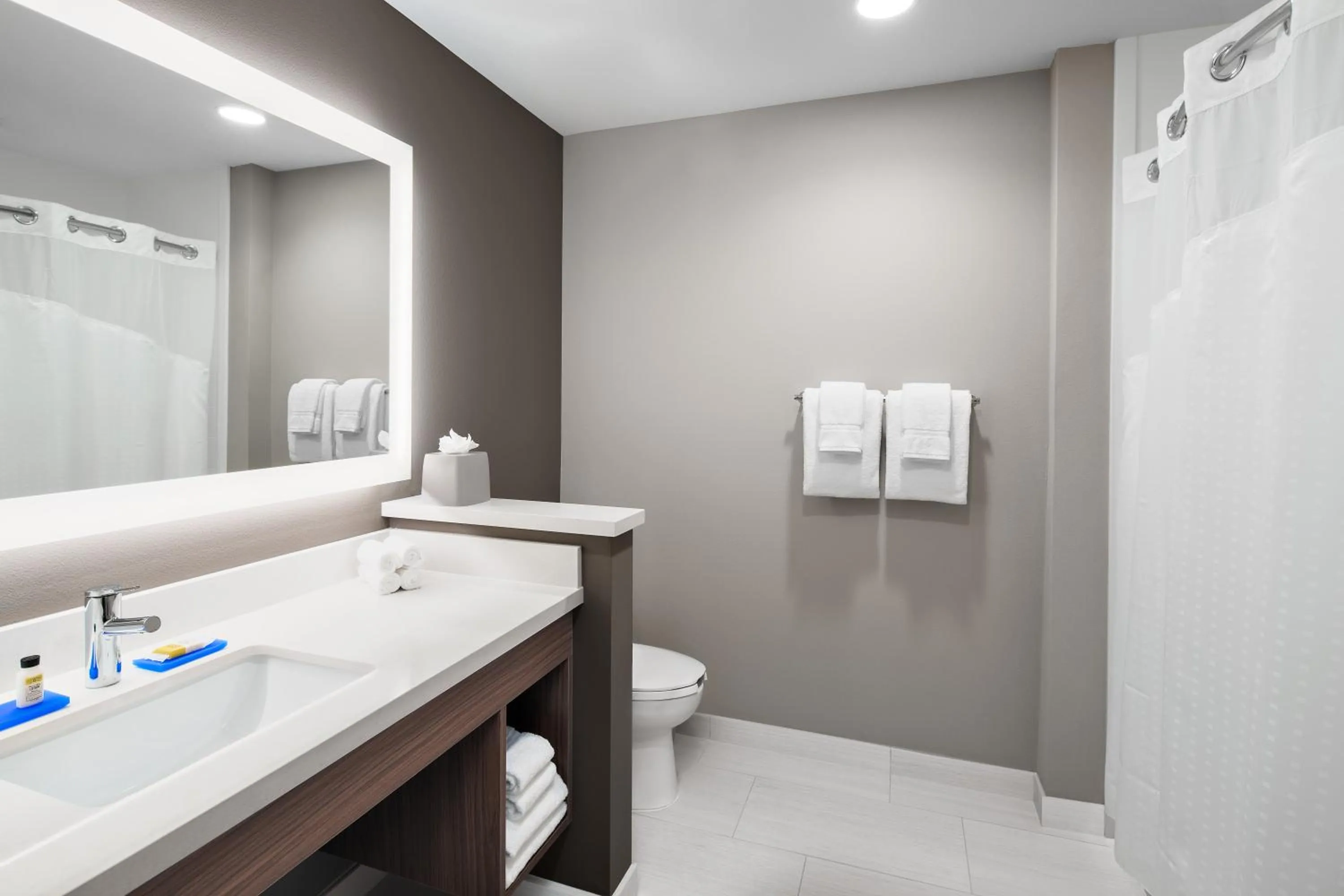 Bathroom in Holiday Inn Express & Suites Lubbock Central - Univ Area by IHG