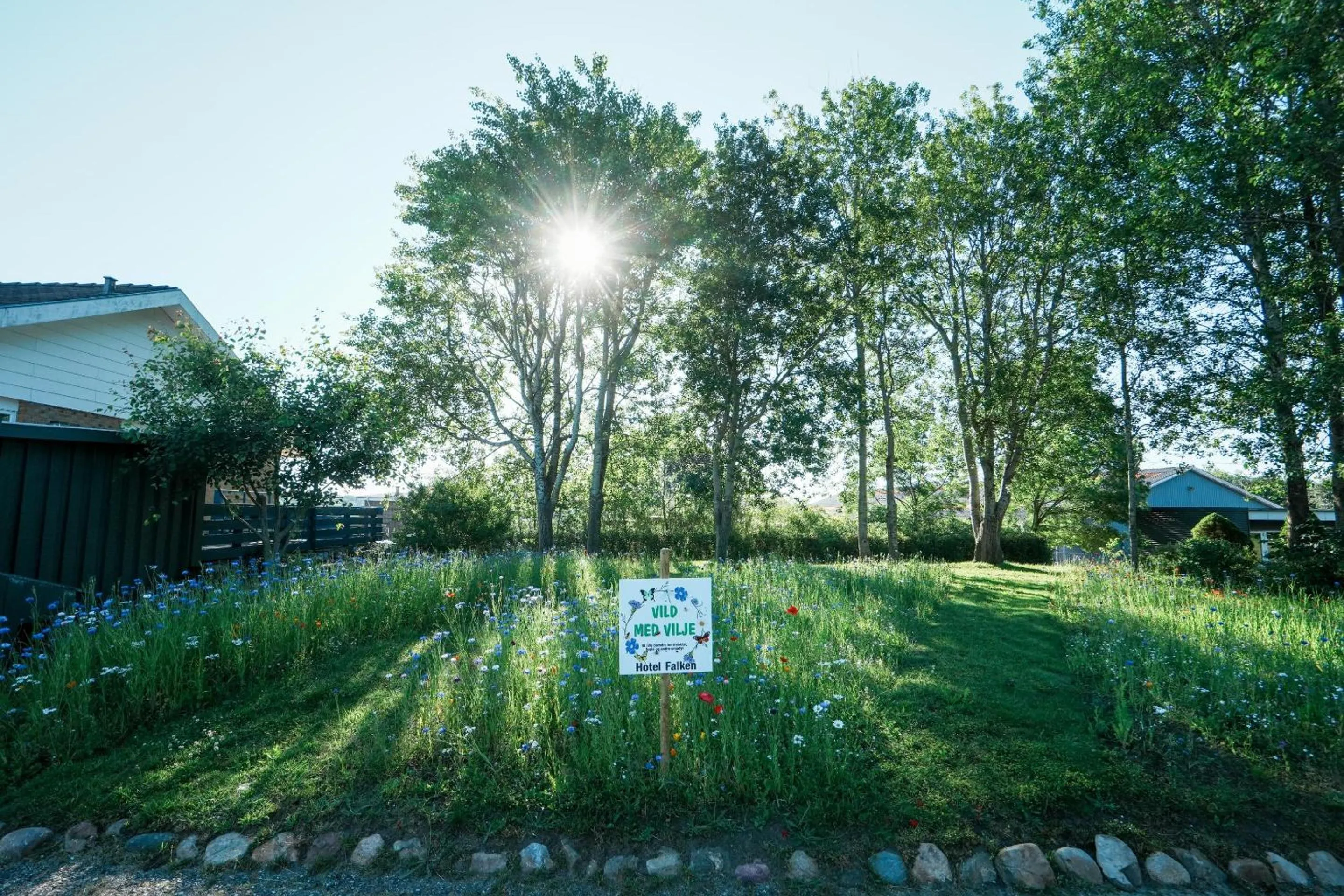 Spring in Hotel Falken