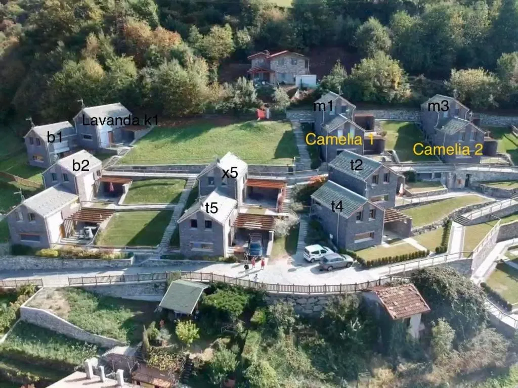 Paradiso del lago