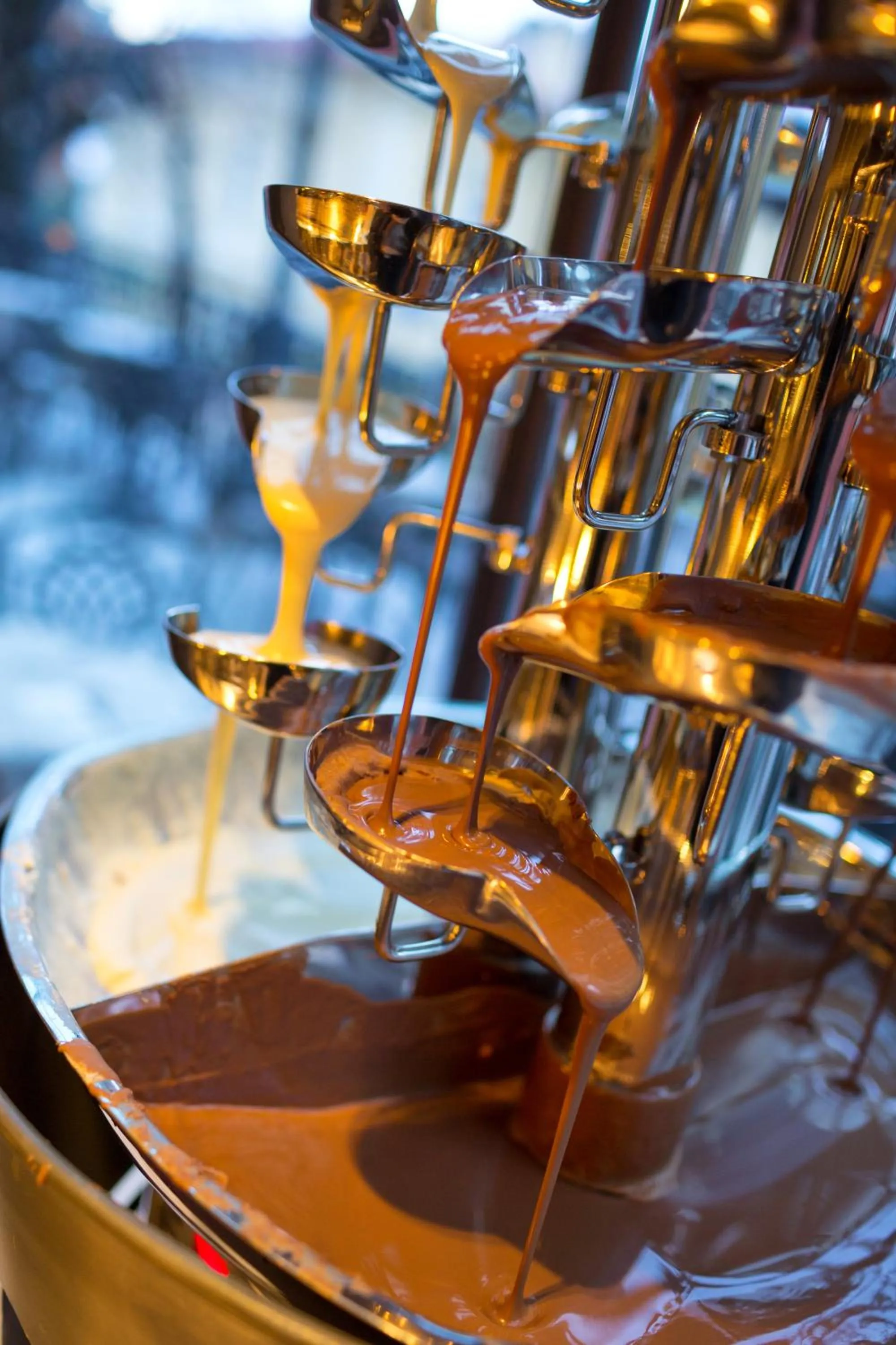 Food and drinks in Hotel Continental