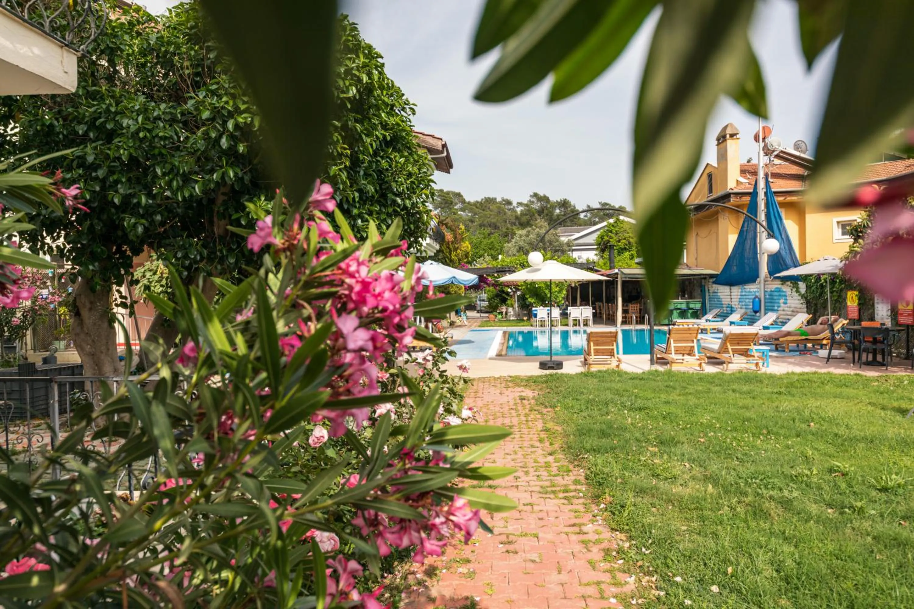 Garden in Dedeminn Garden Hotel