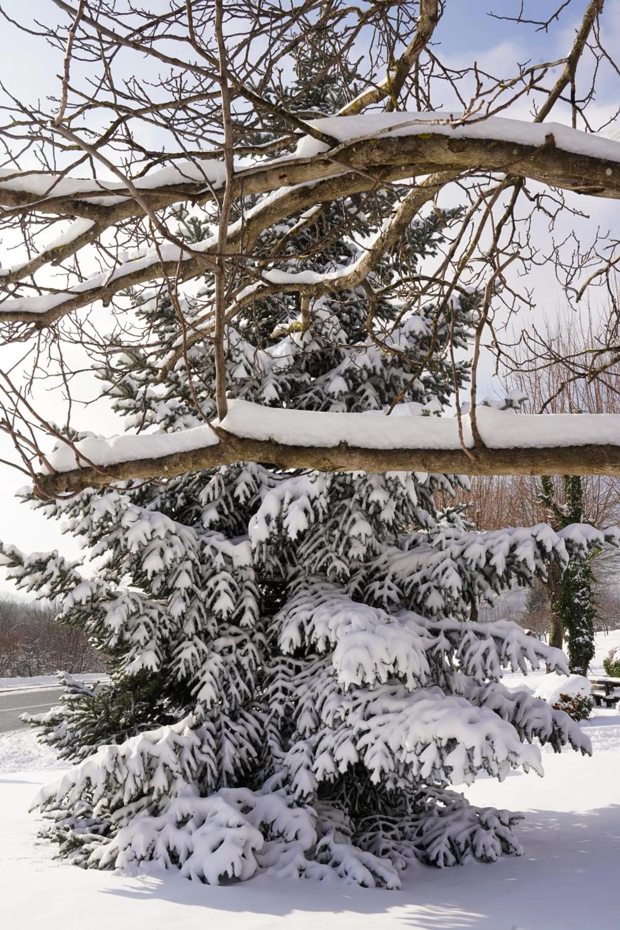 Winter in Hotel Degenija