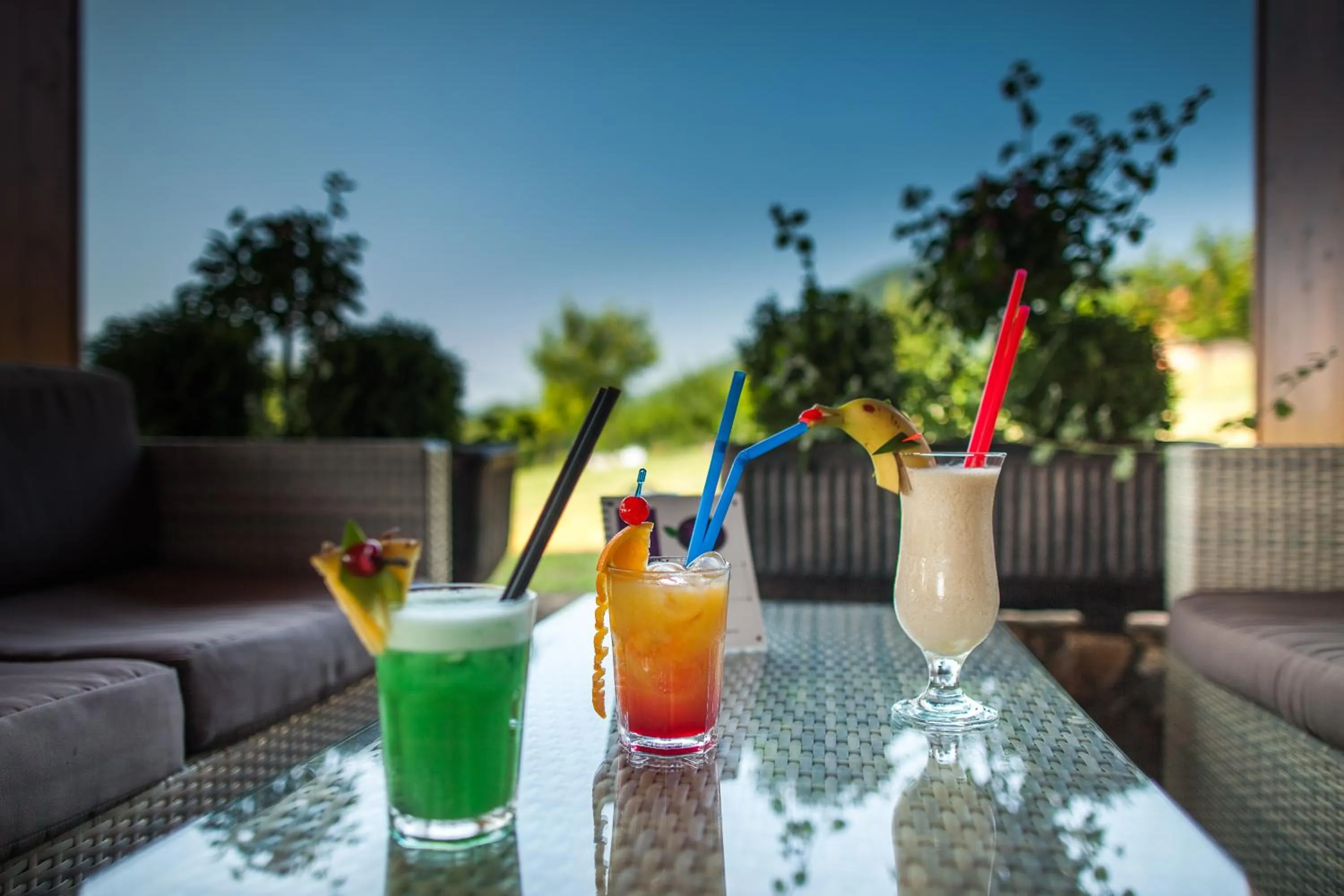 Restaurant/places to eat in Hotel Degenija