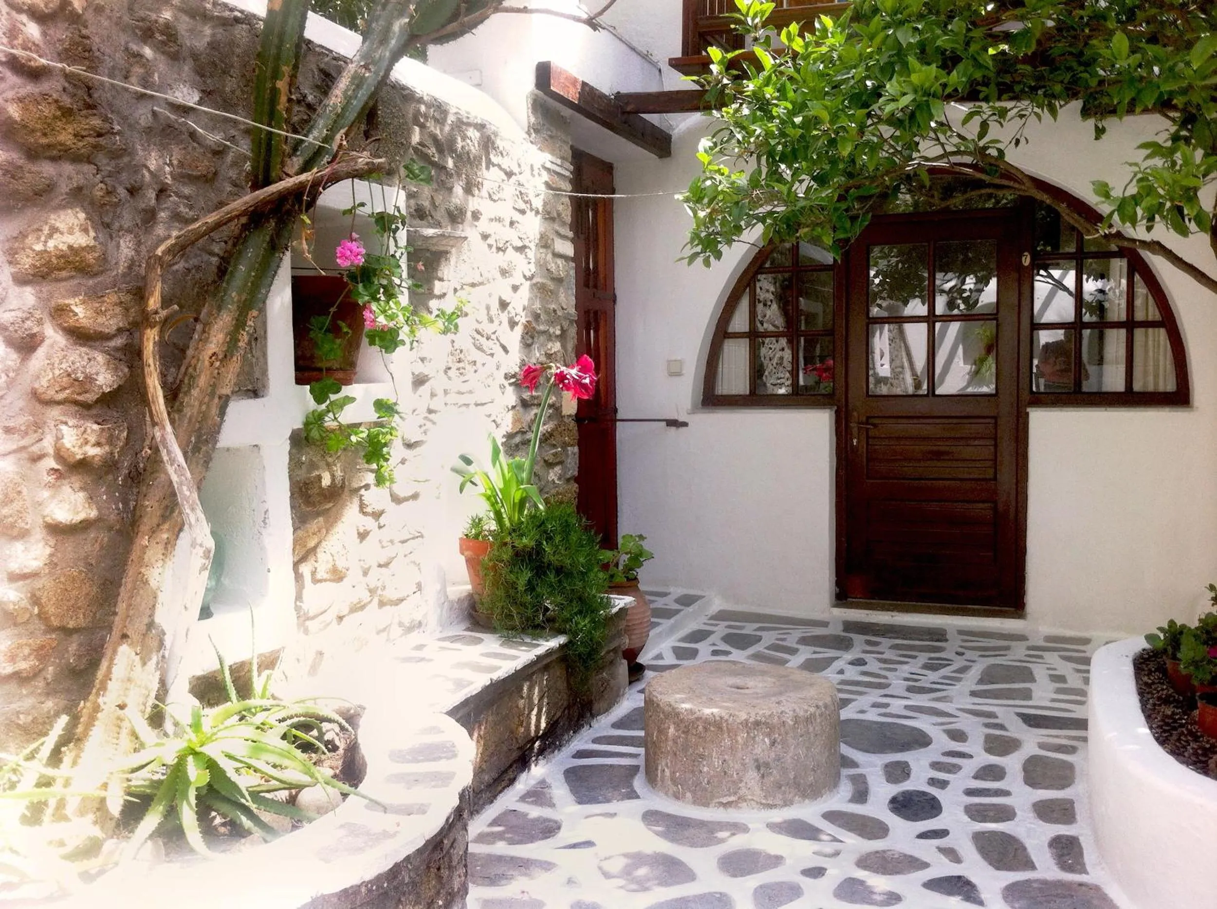 Garden in Villa Pinelopi